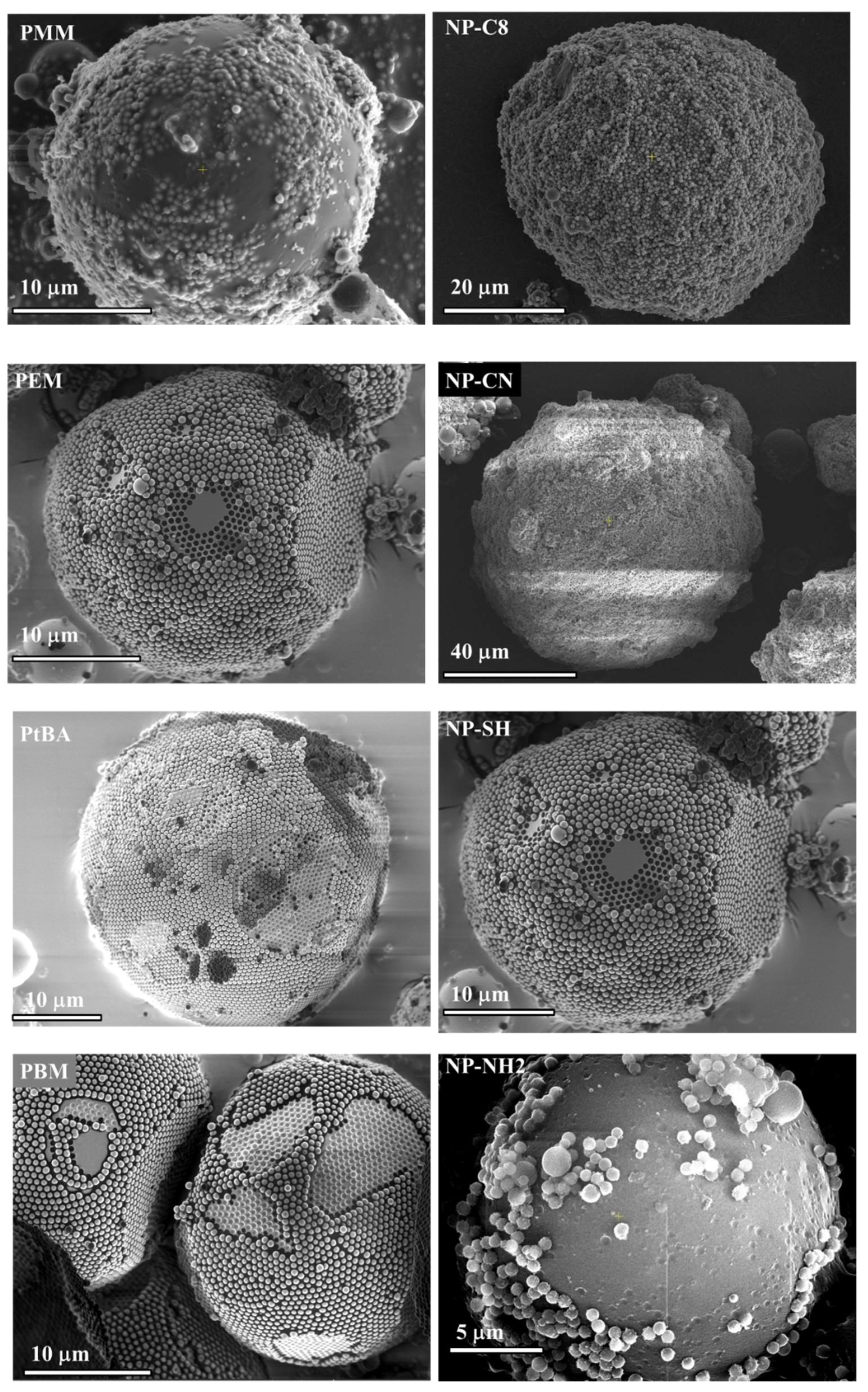 Nanomaterials 11 03200 g001 Nanomaterials 11 03200 g001