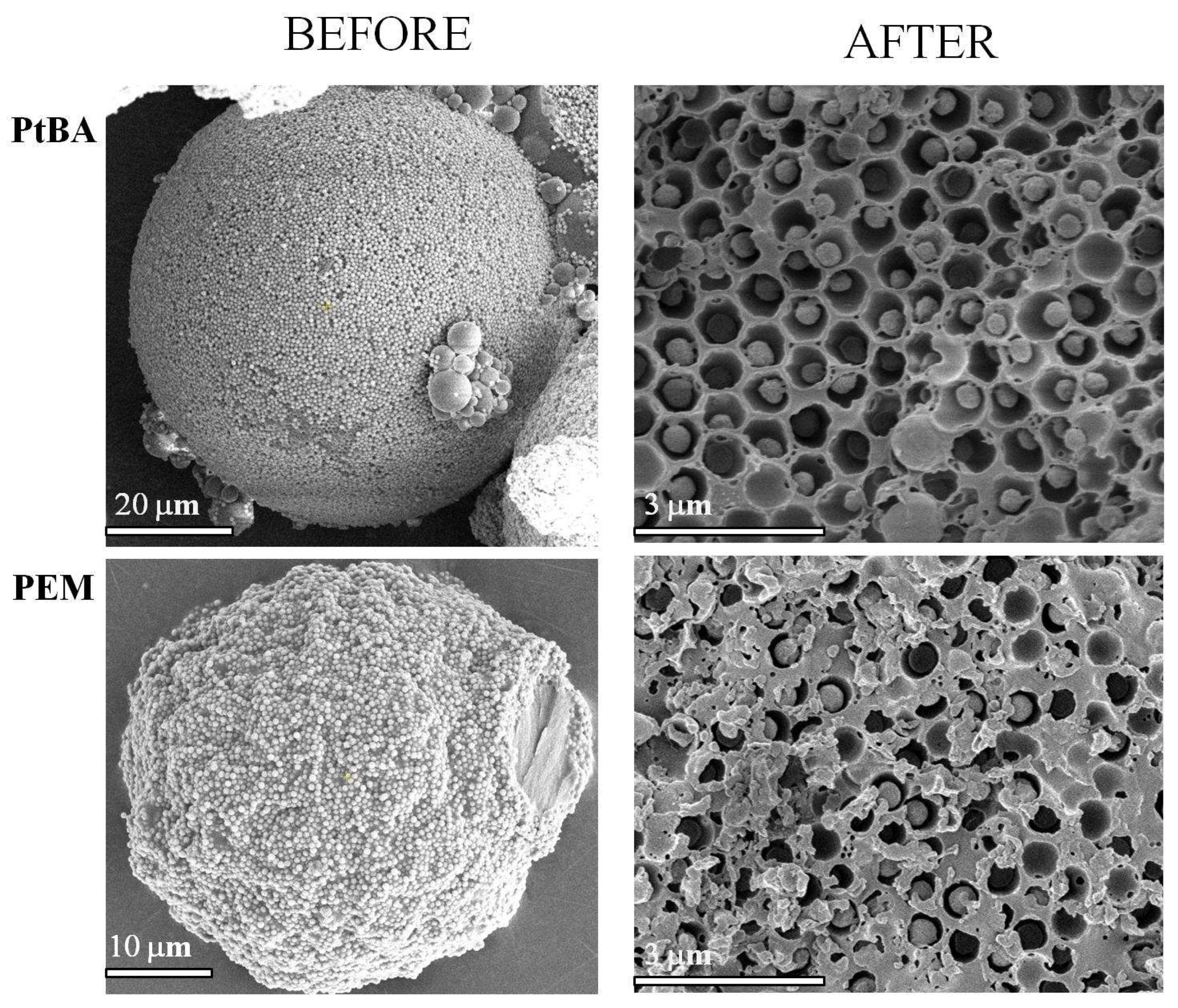 Nanomaterials 11 03200 g002 Nanomaterials 11 03200 g002