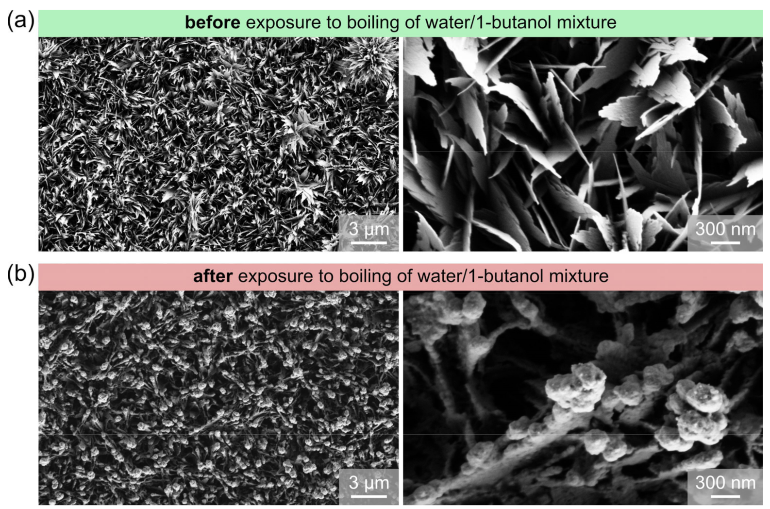 Nanomaterials 11 03216 g008 Nanomaterials 11 03216 g008