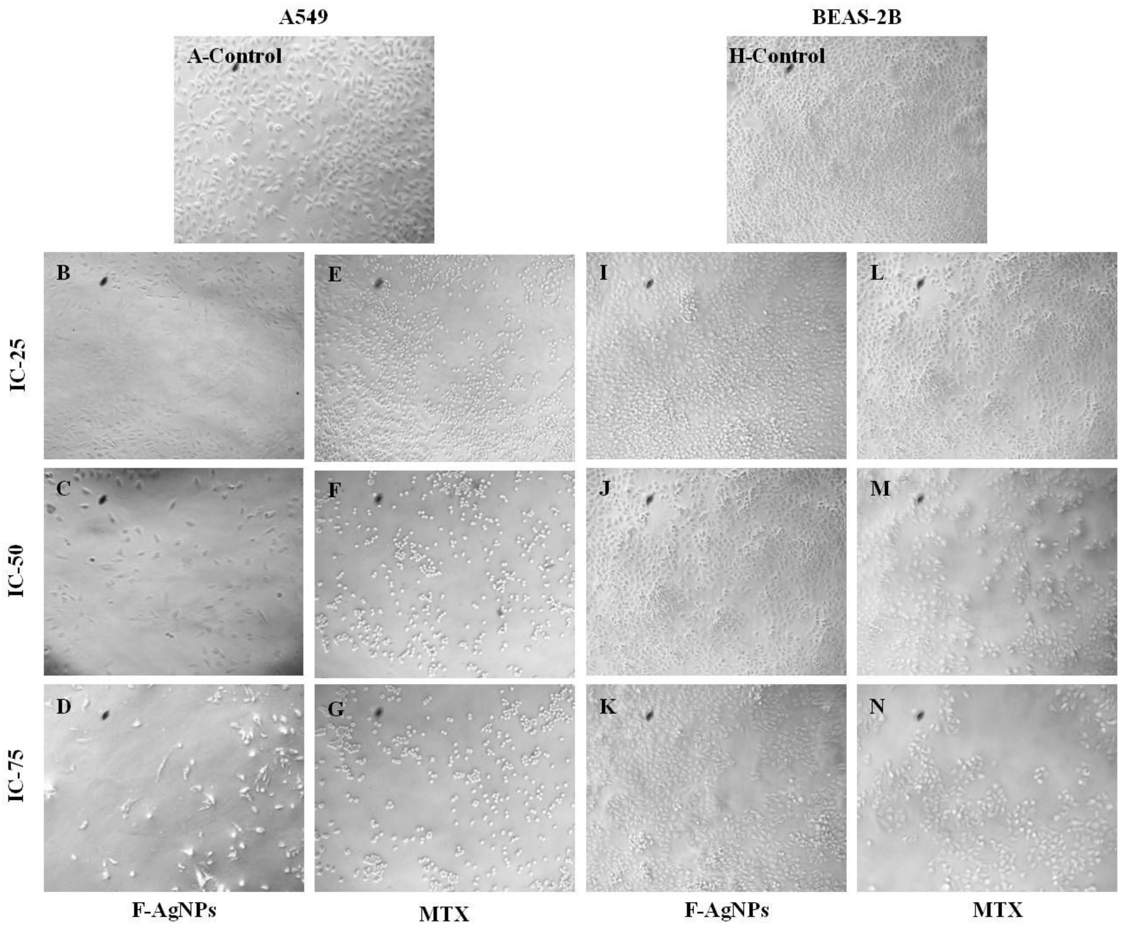 Nanomaterials 11 03227 g005