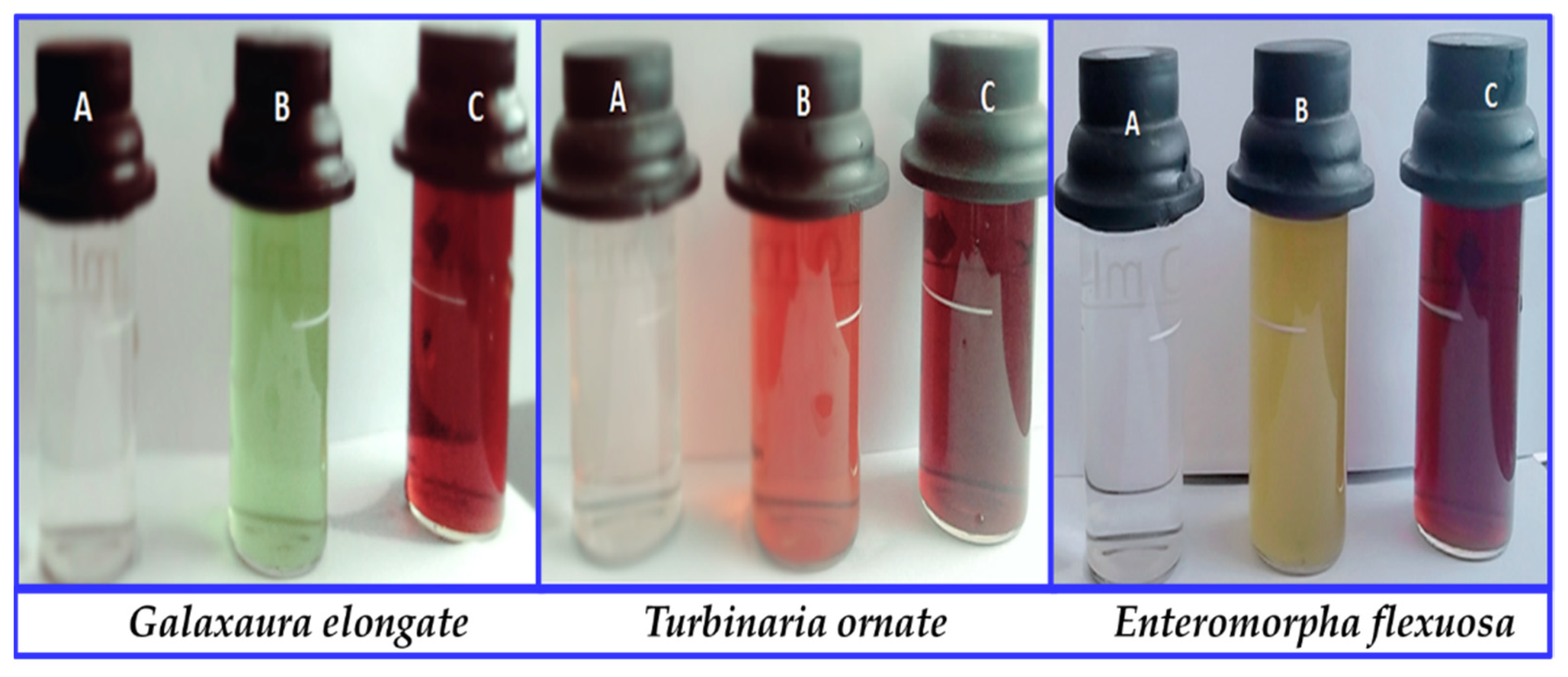 Nanomaterials 11 03241 g001