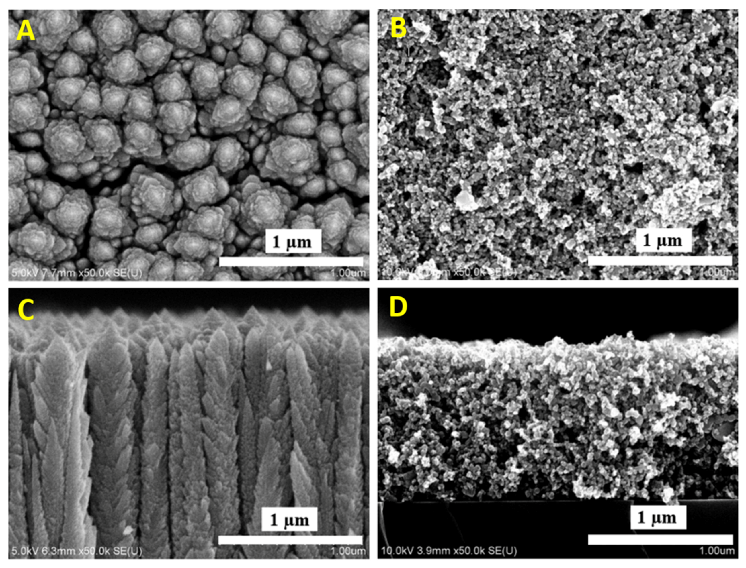 Nanomaterials 11 03254 g003