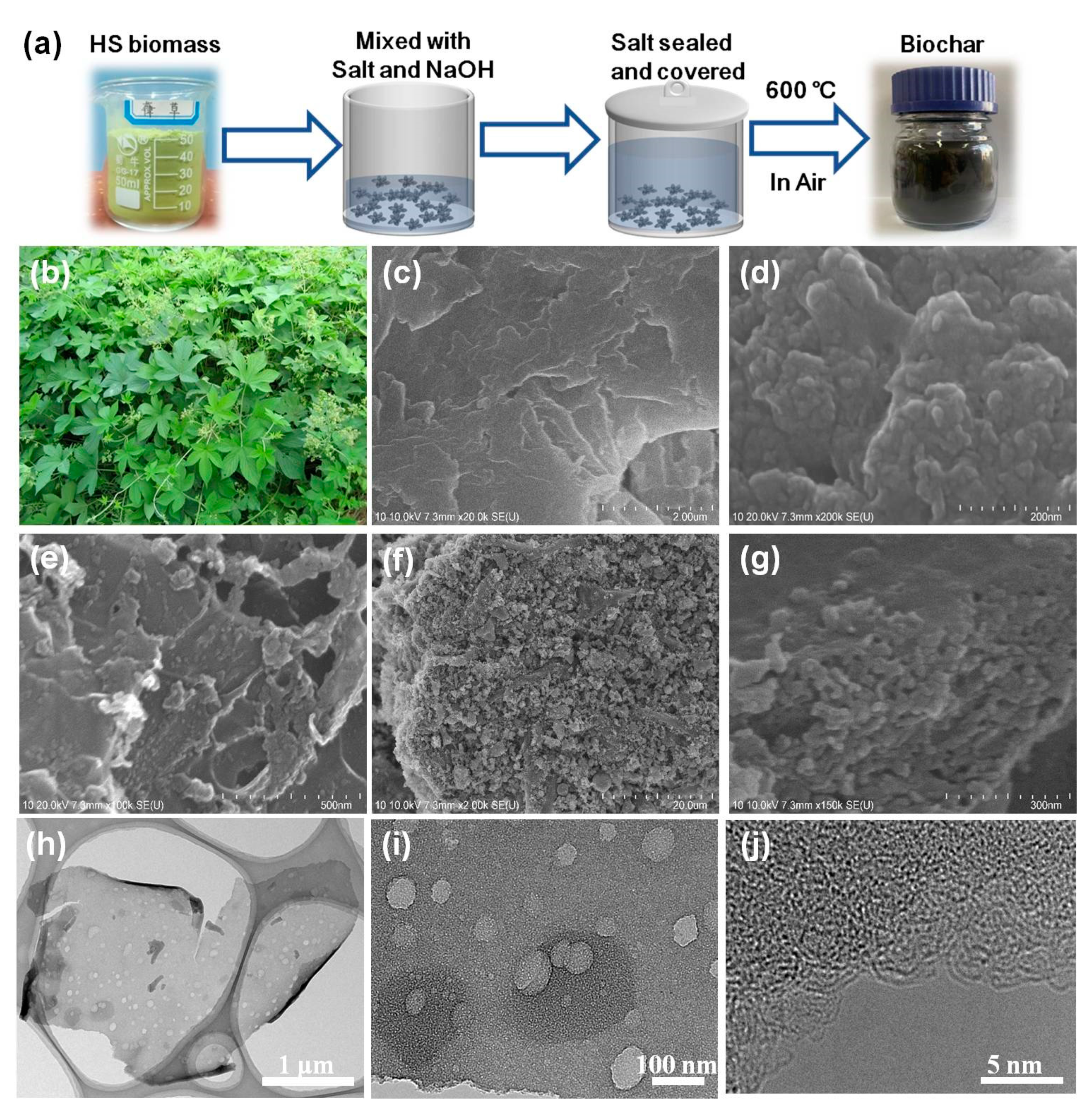 Nanomaterials 11 03255 g002