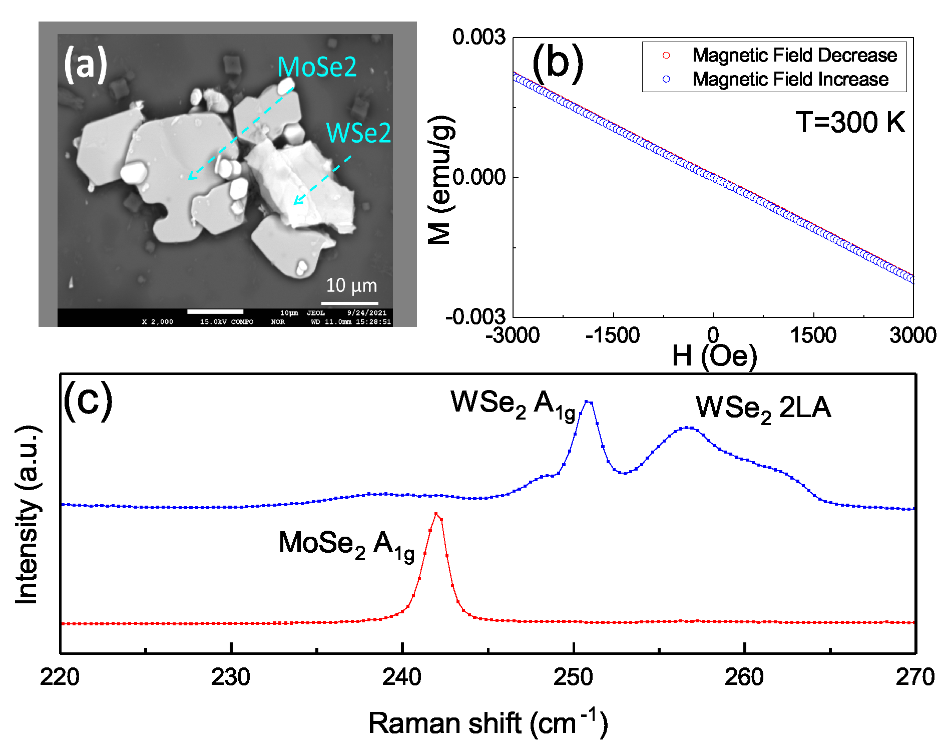Nanomaterials 11 03263 g005