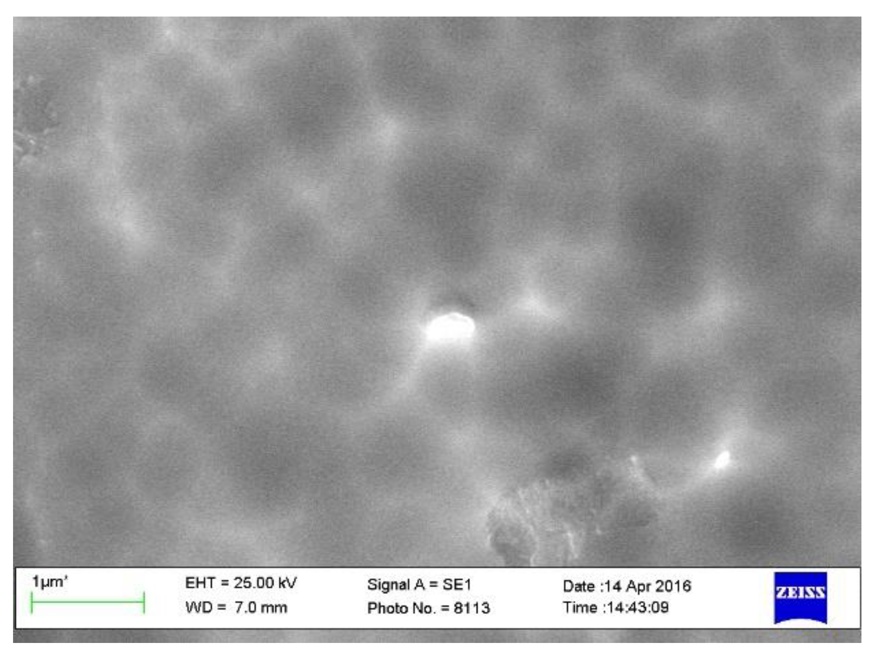 Nanomaterials 11 03270 g005