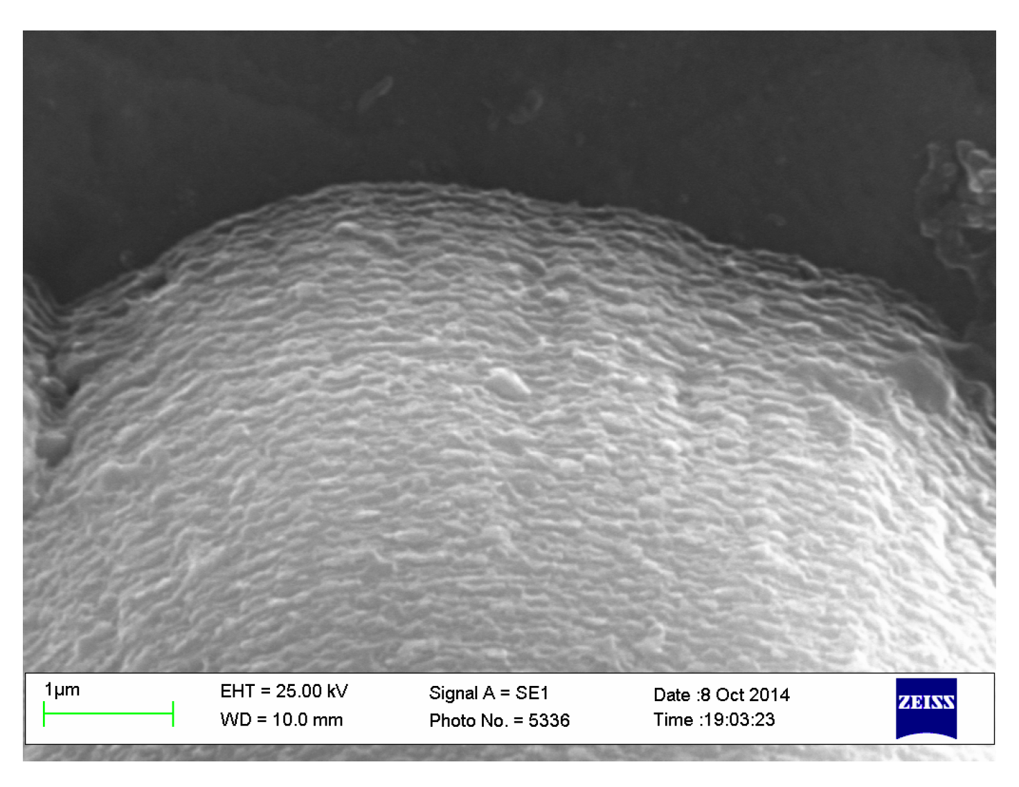 Nanomaterials 11 03270 g006