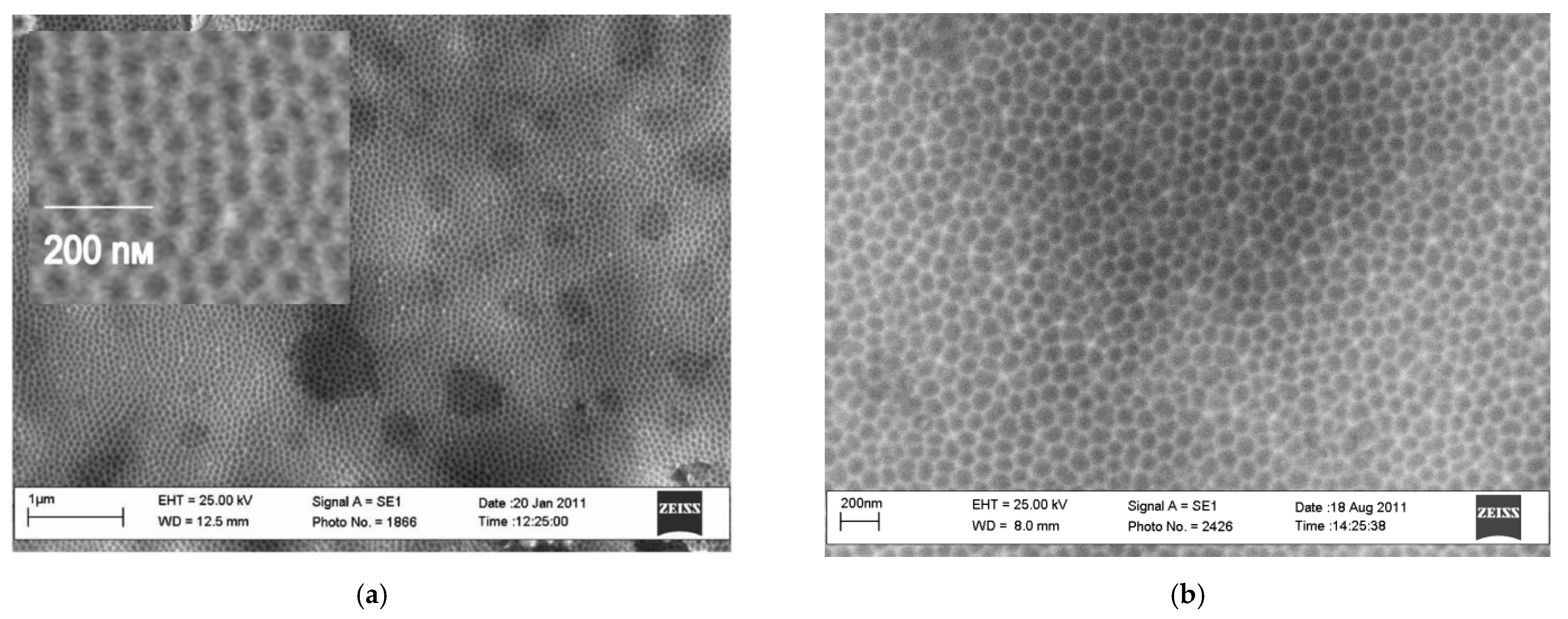 Nanomaterials 11 03270 g007