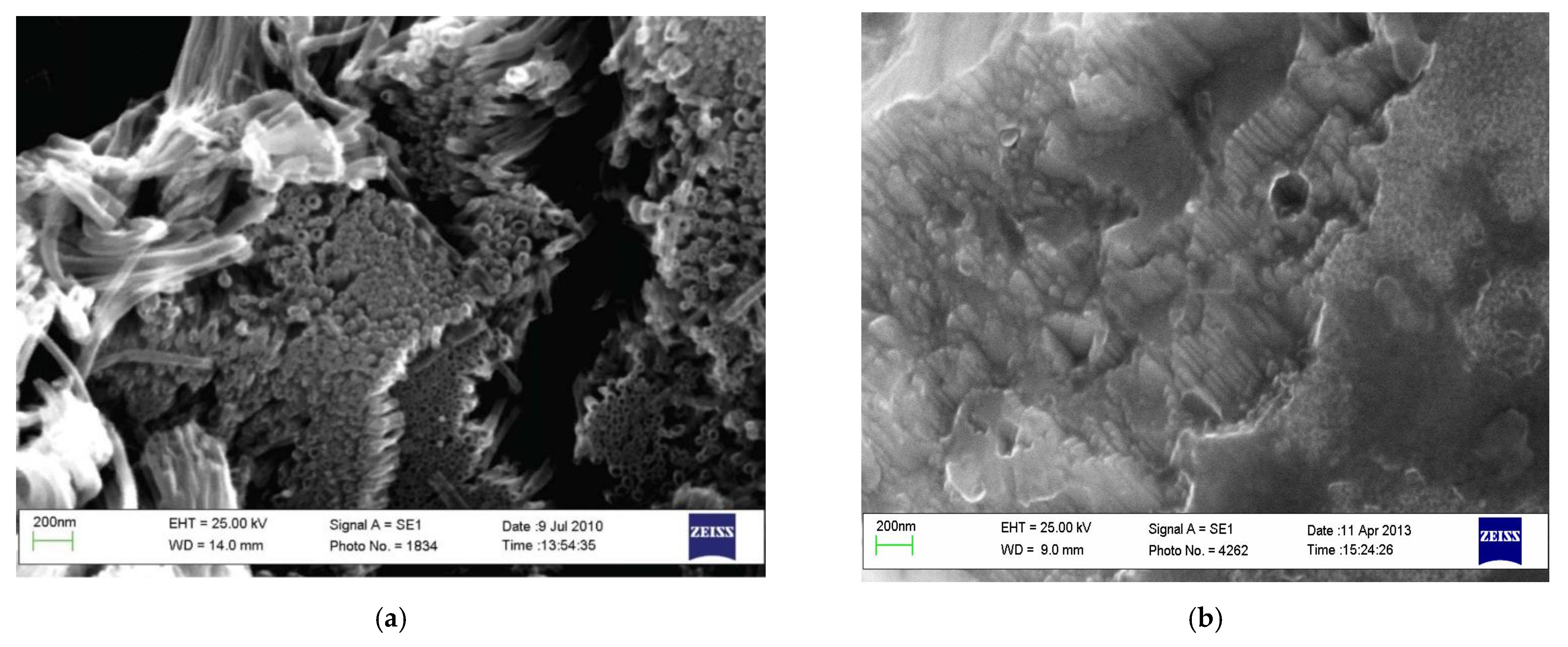 Nanomaterials 11 03270 g008