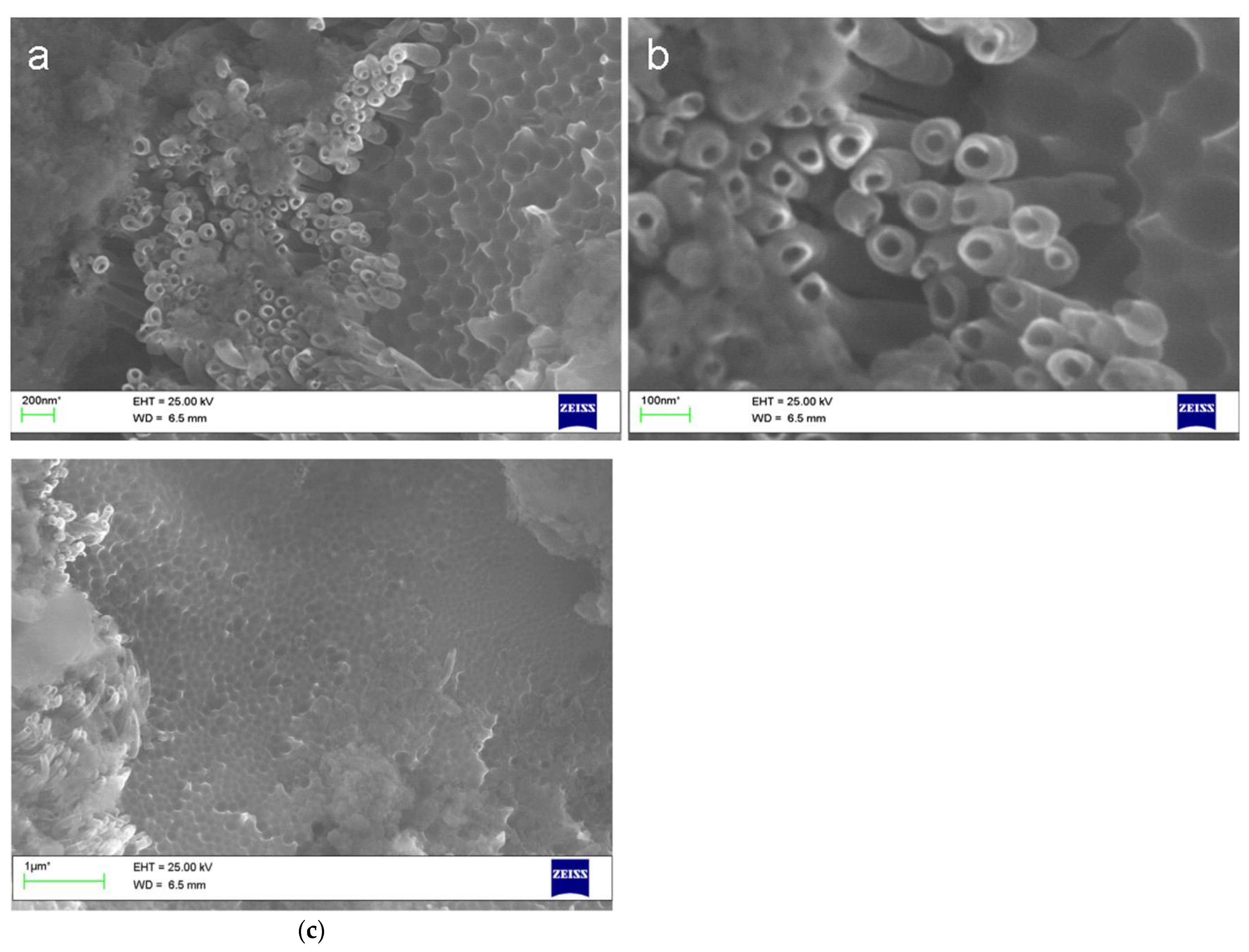 Nanomaterials 11 03270 g010