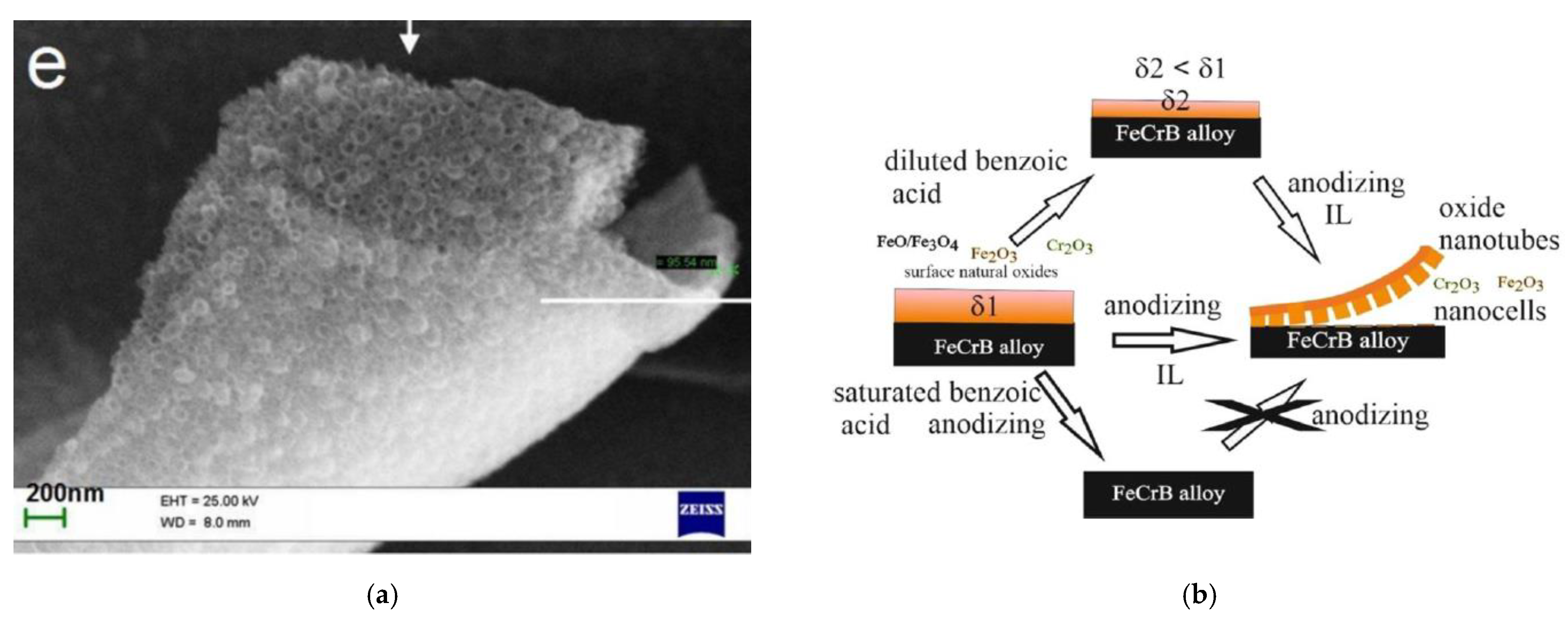 Nanomaterials 11 03270 g011