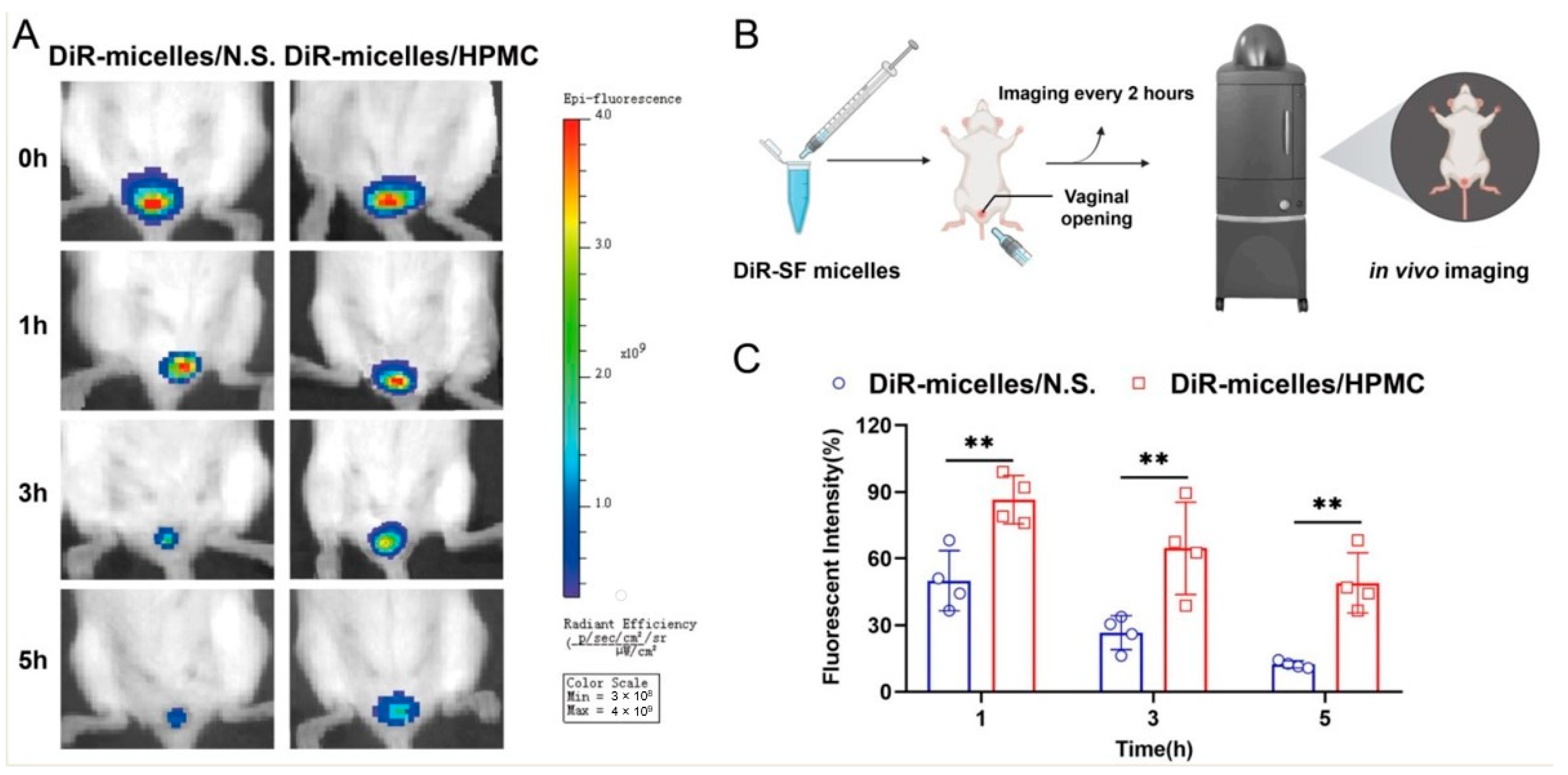 Nanomaterials 11 03271 g006