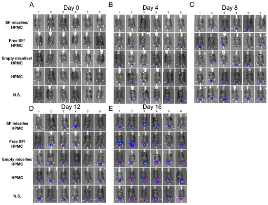 Nanomaterials 11 03271 g0a5 550