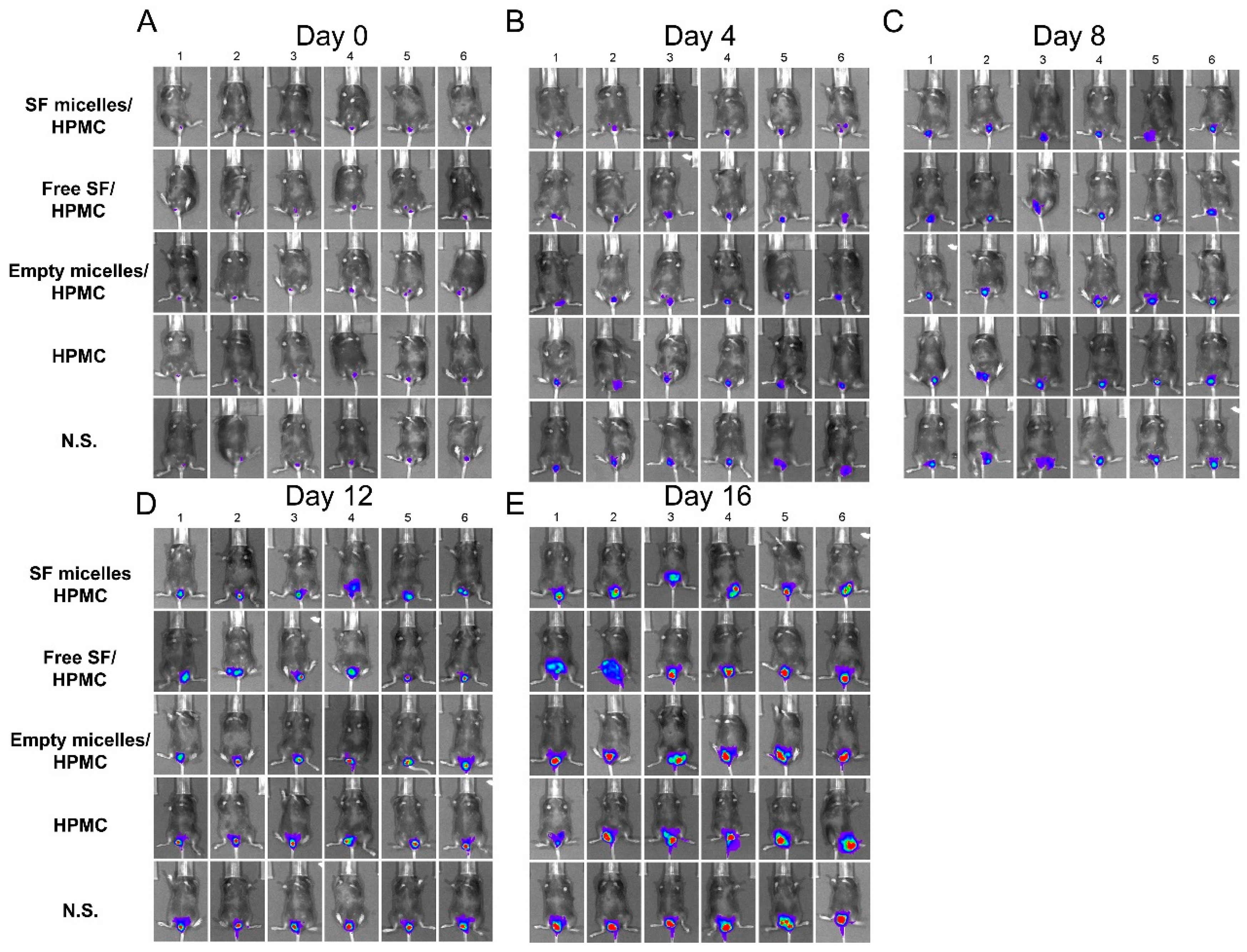 Nanomaterials 11 03271 g0a5