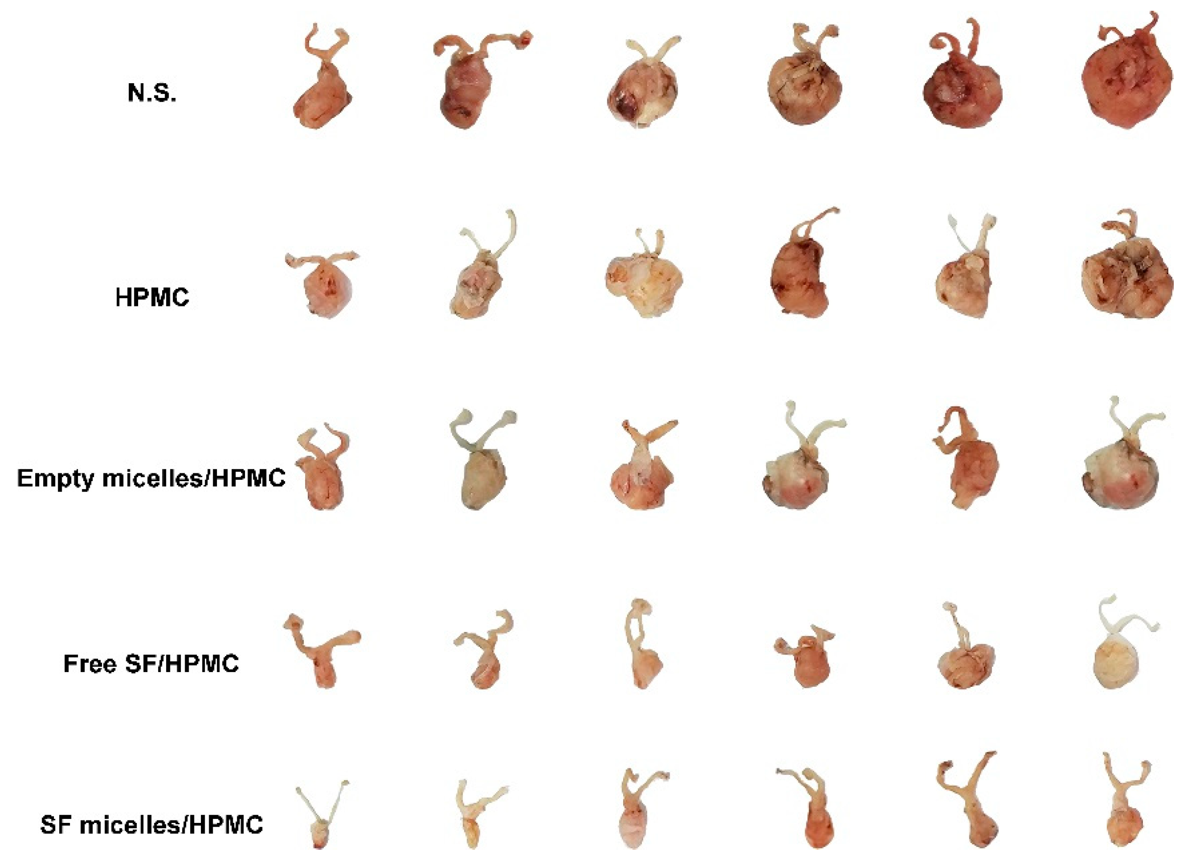 Nanomaterials 11 03271 g0a6