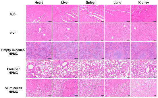 Nanomaterials 11 03271 g0a8 550