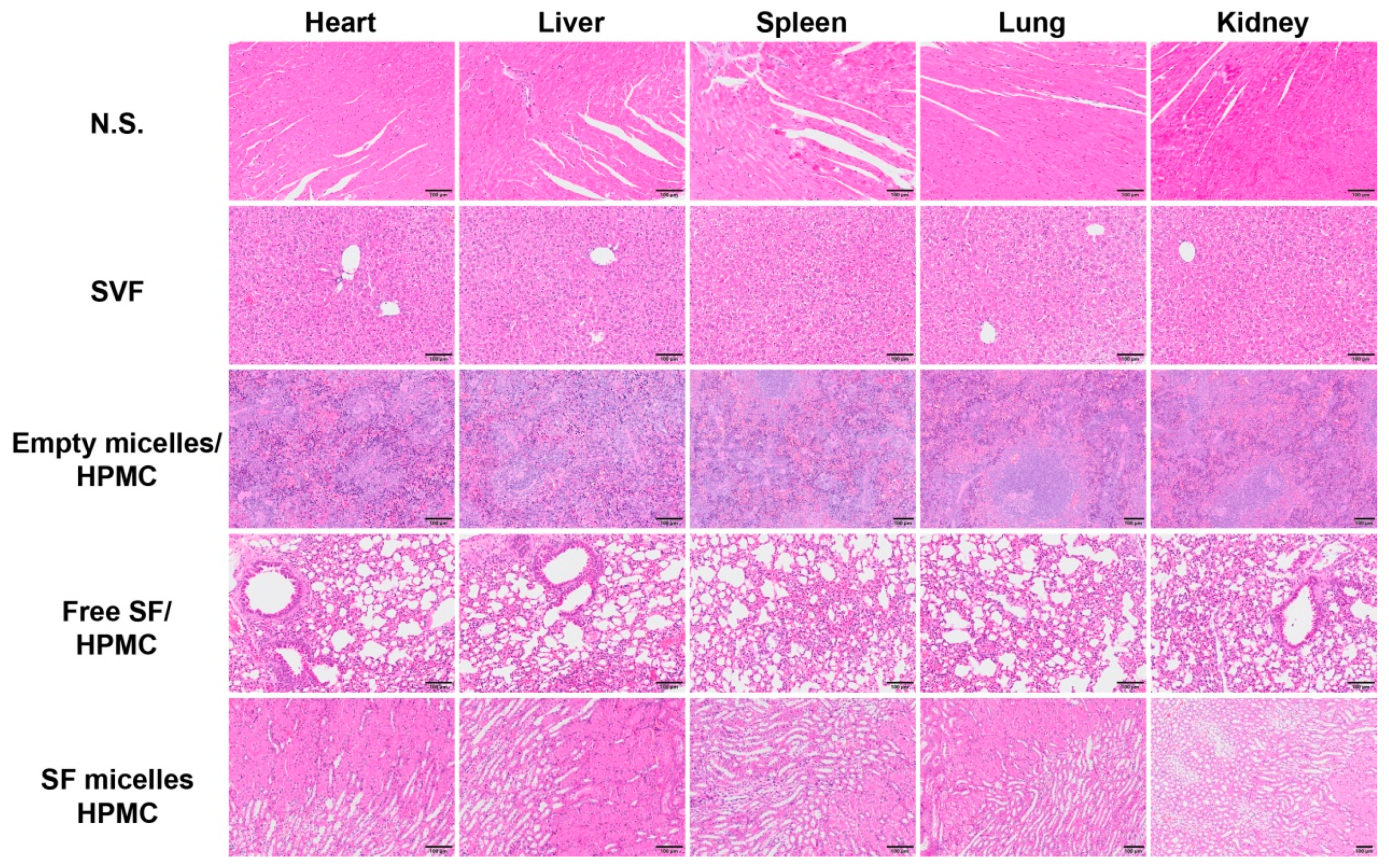 Nanomaterials 11 03271 g0a8