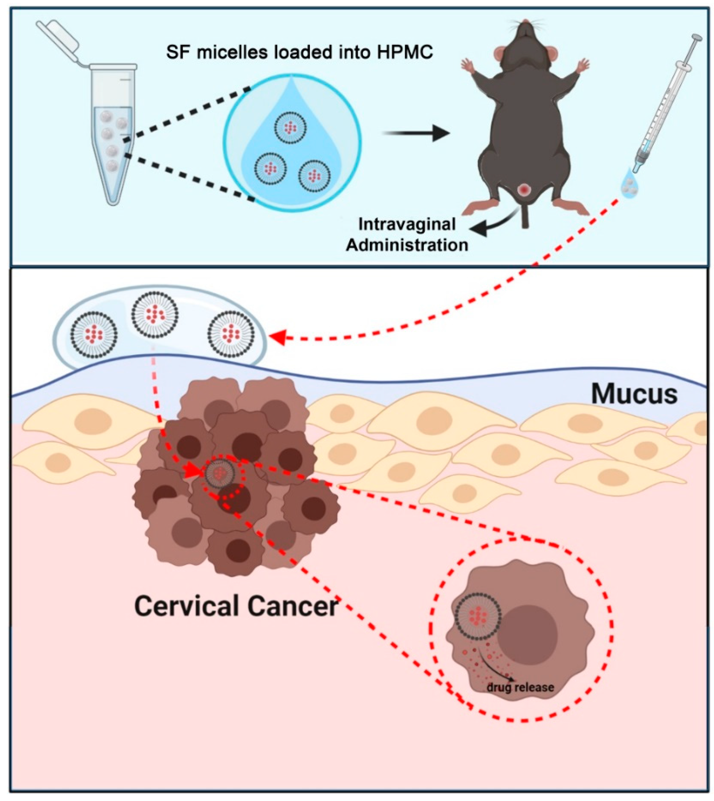 Nanomaterials 11 03271 sch001