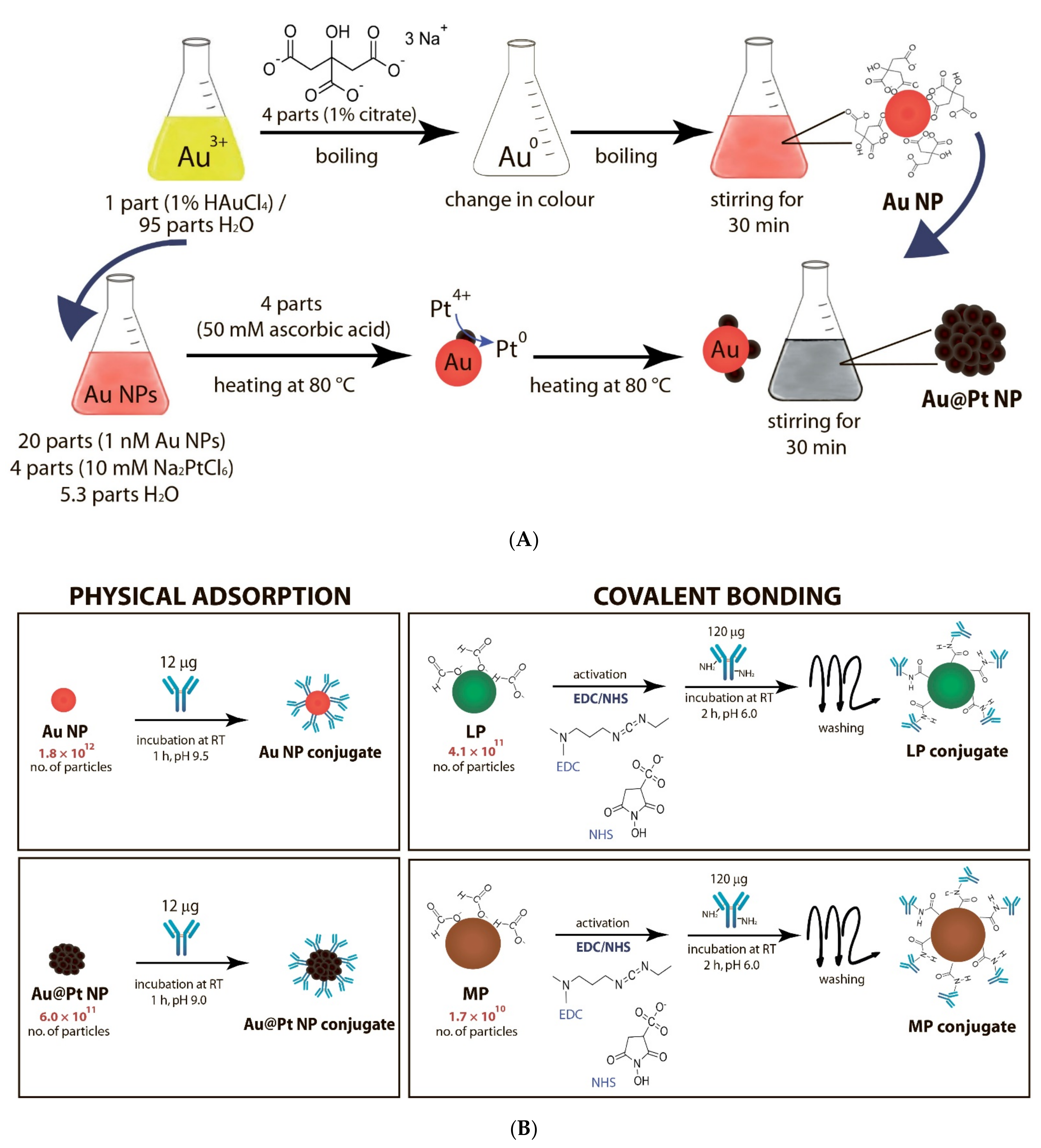 Nanomaterials 11 03277 g001