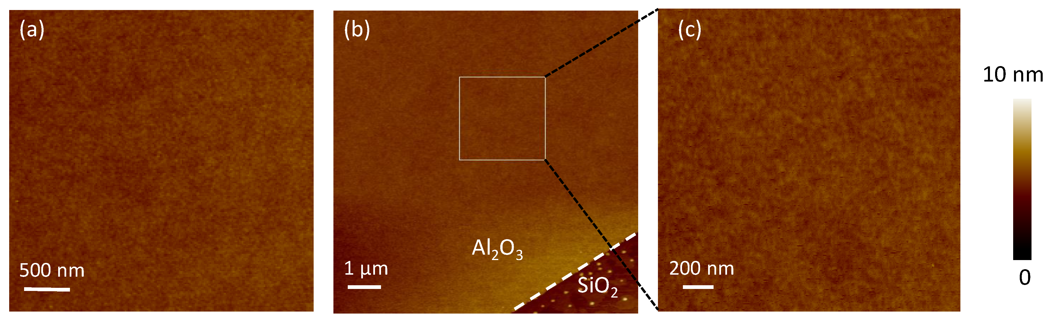 Nanomaterials 11 03282 g001
