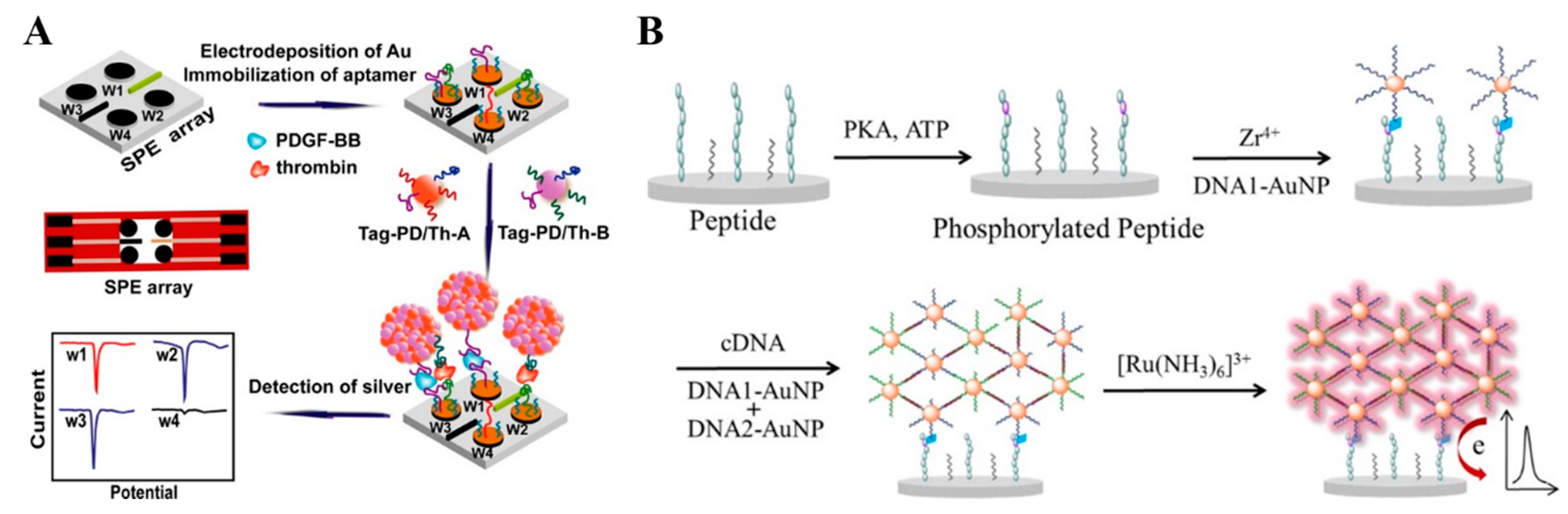 Nanomaterials 11 03307 g001