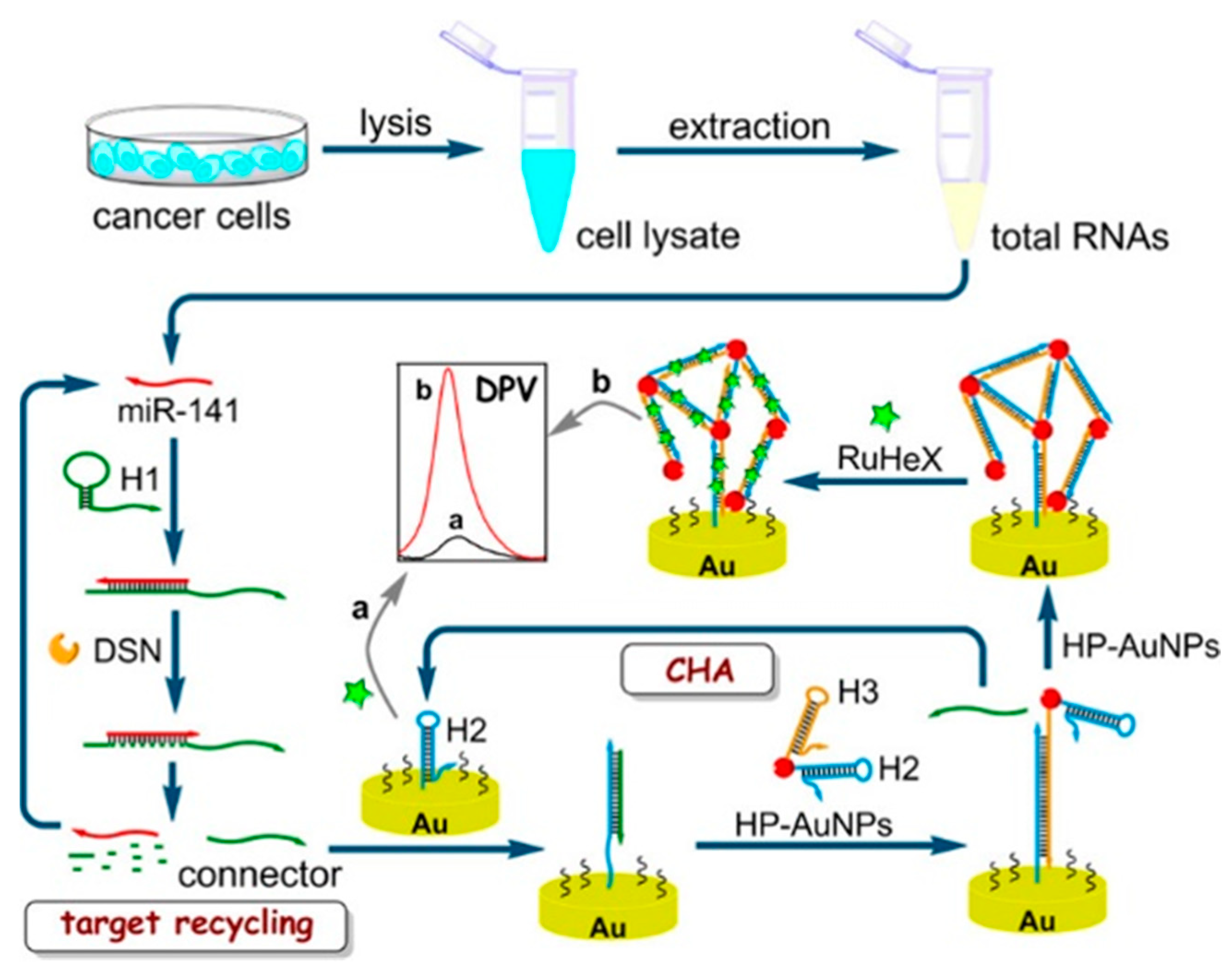 Nanomaterials 11 03307 g002