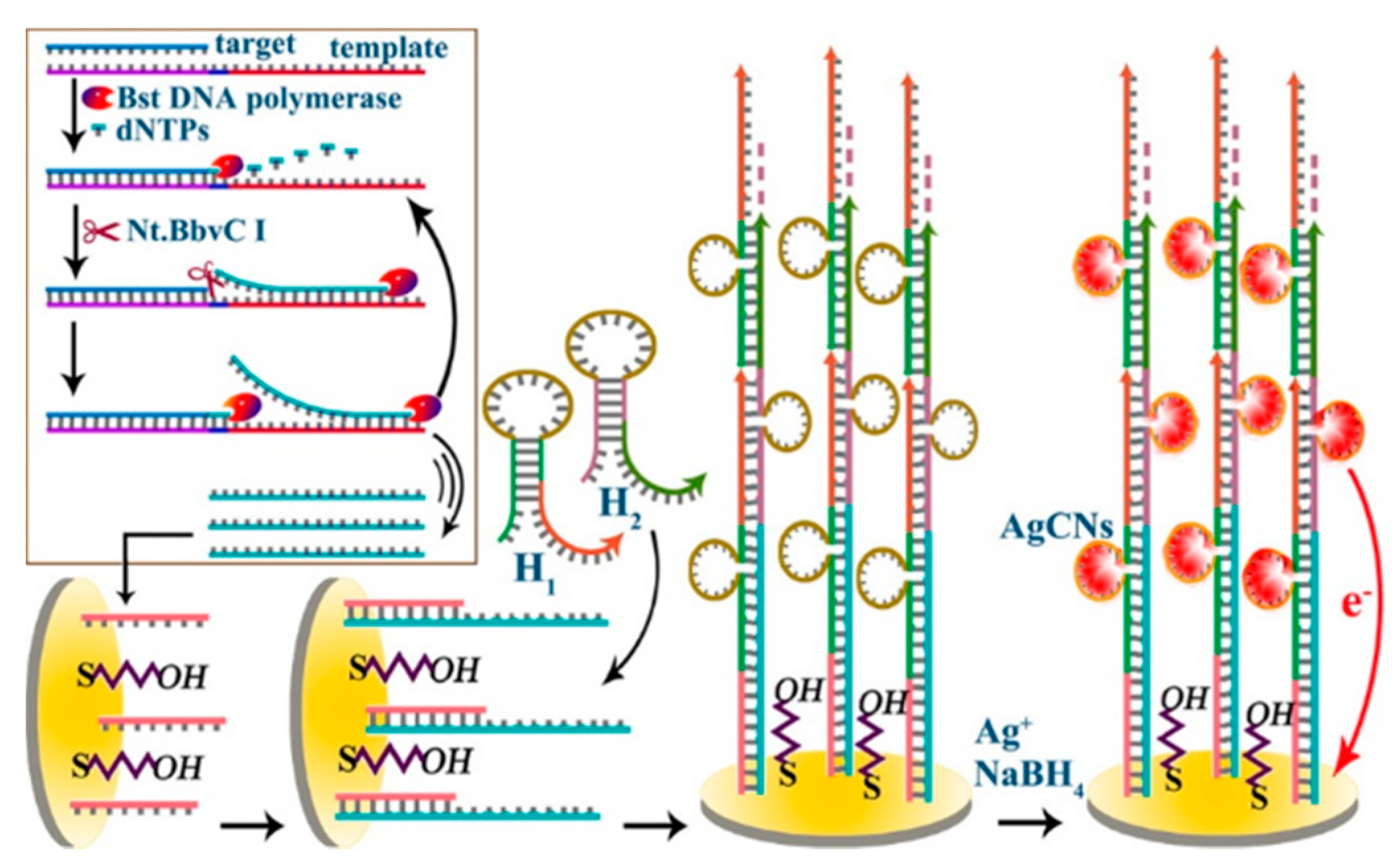 Nanomaterials 11 03307 g003