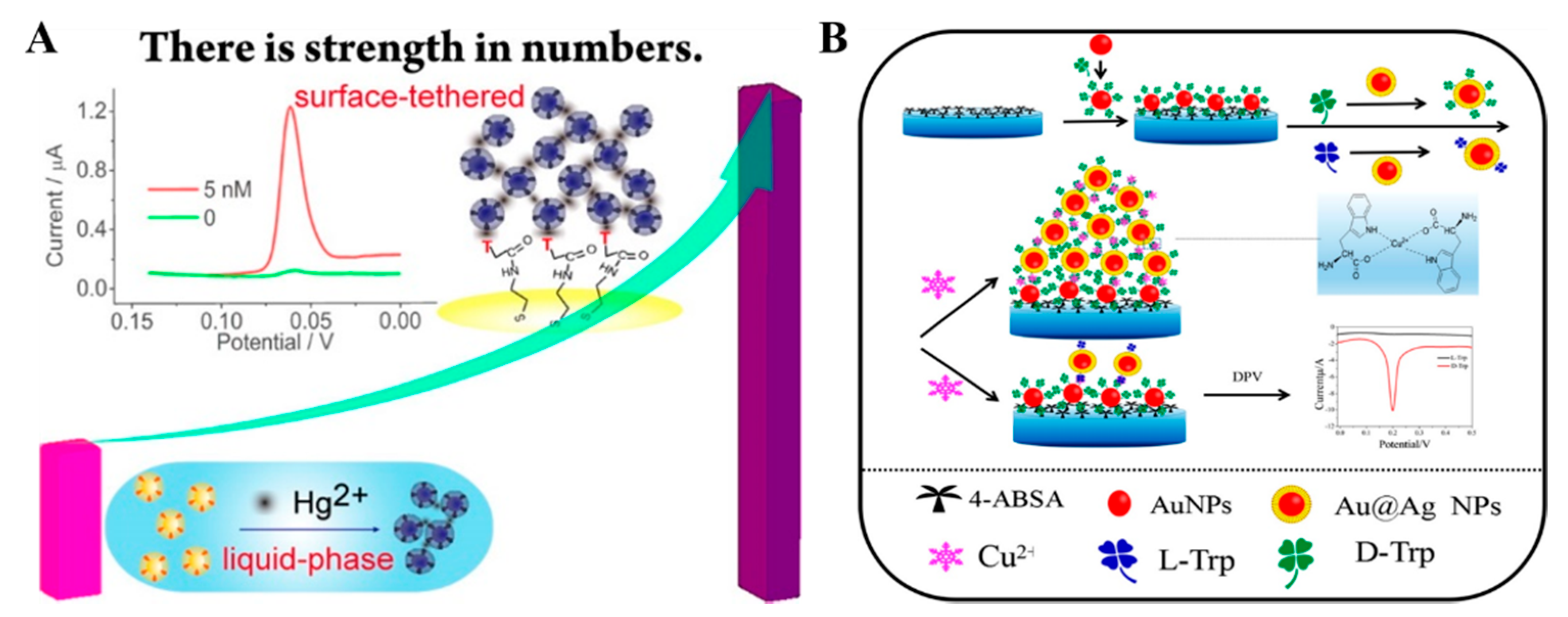 Nanomaterials 11 03307 g004