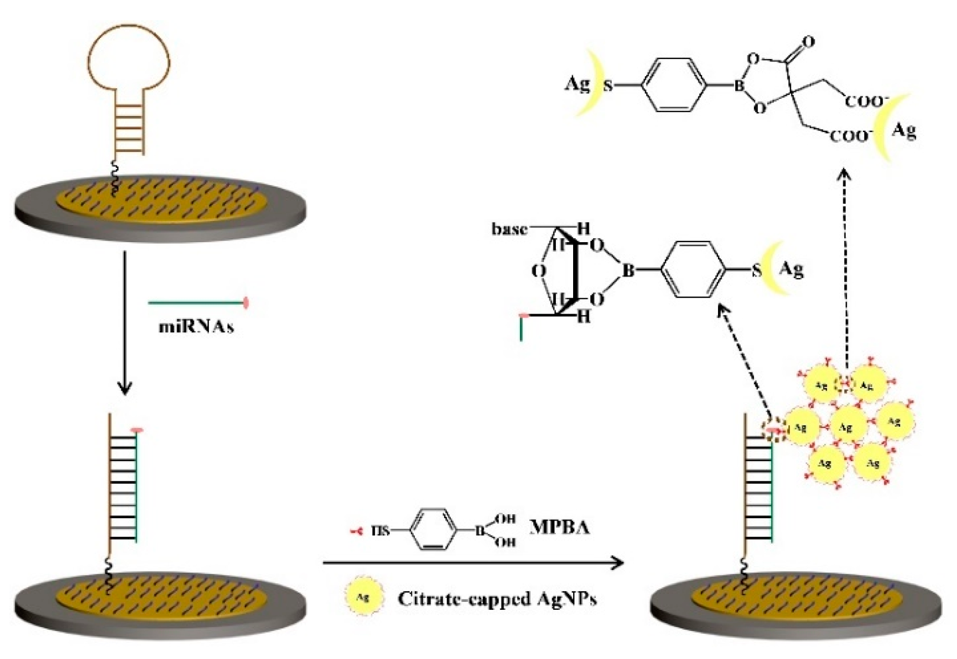 Nanomaterials 11 03307 g005