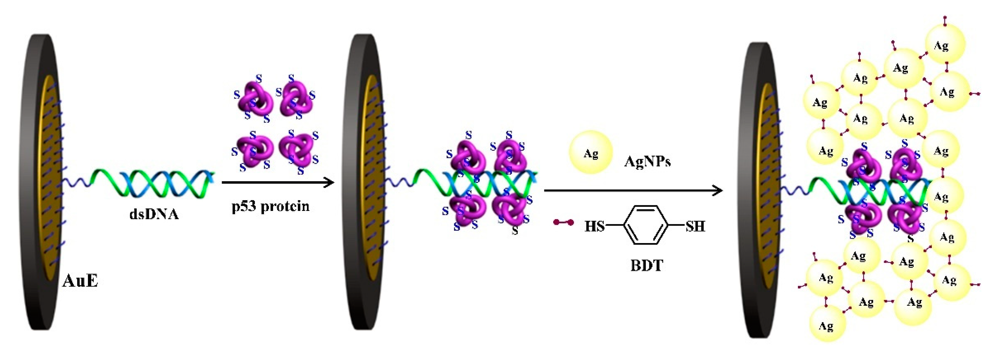 Nanomaterials 11 03307 g007