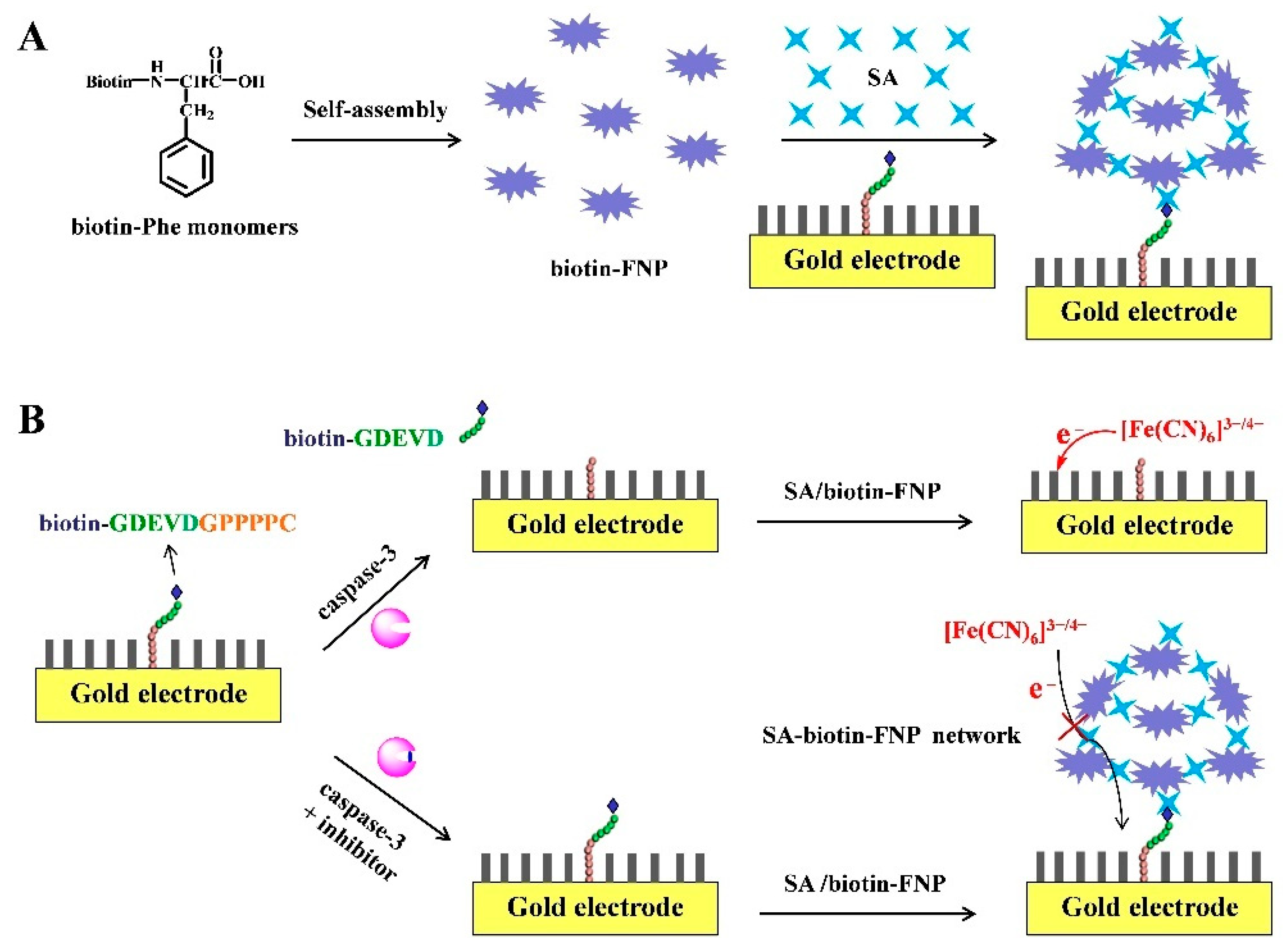 Nanomaterials 11 03307 g010