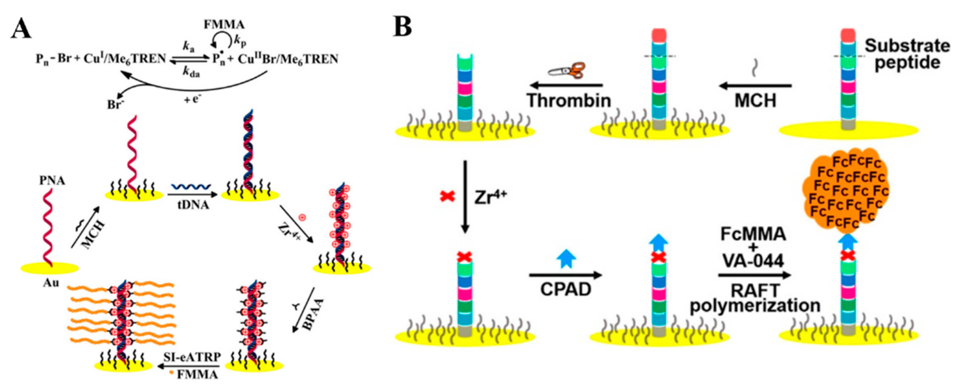 Nanomaterials 11 03307 g011