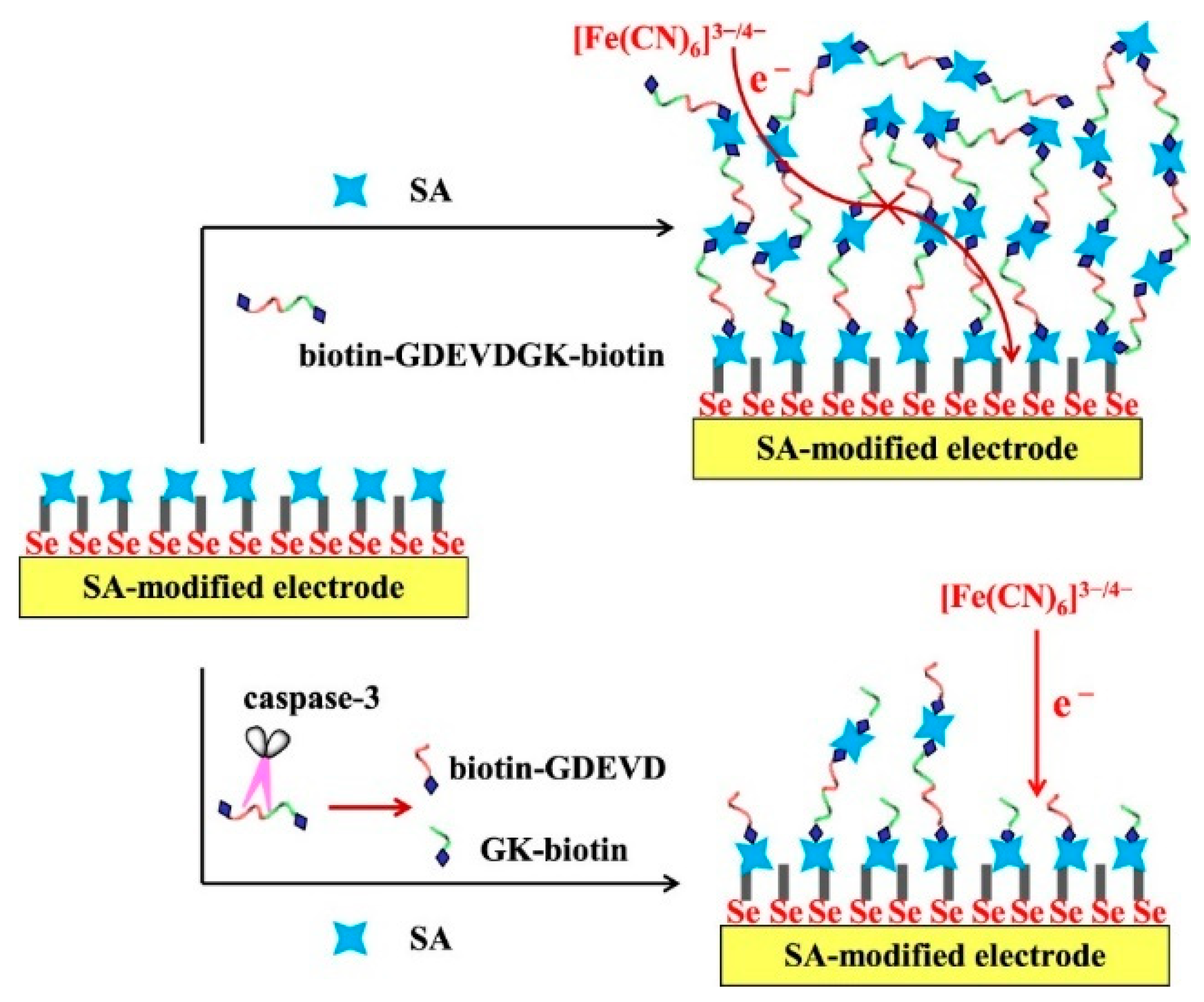 Nanomaterials 11 03307 g012