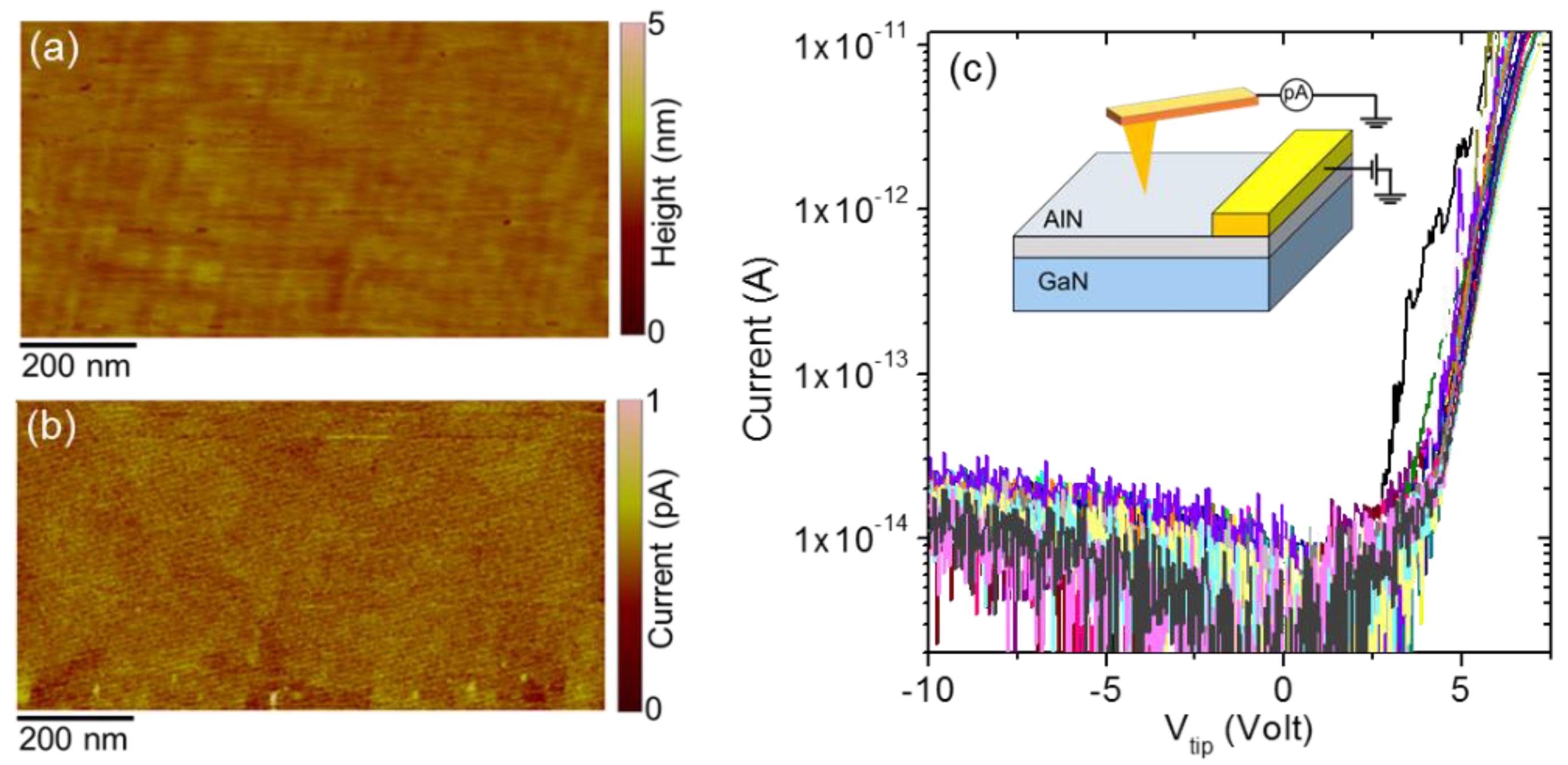 Nanomaterials 11 03316 g005