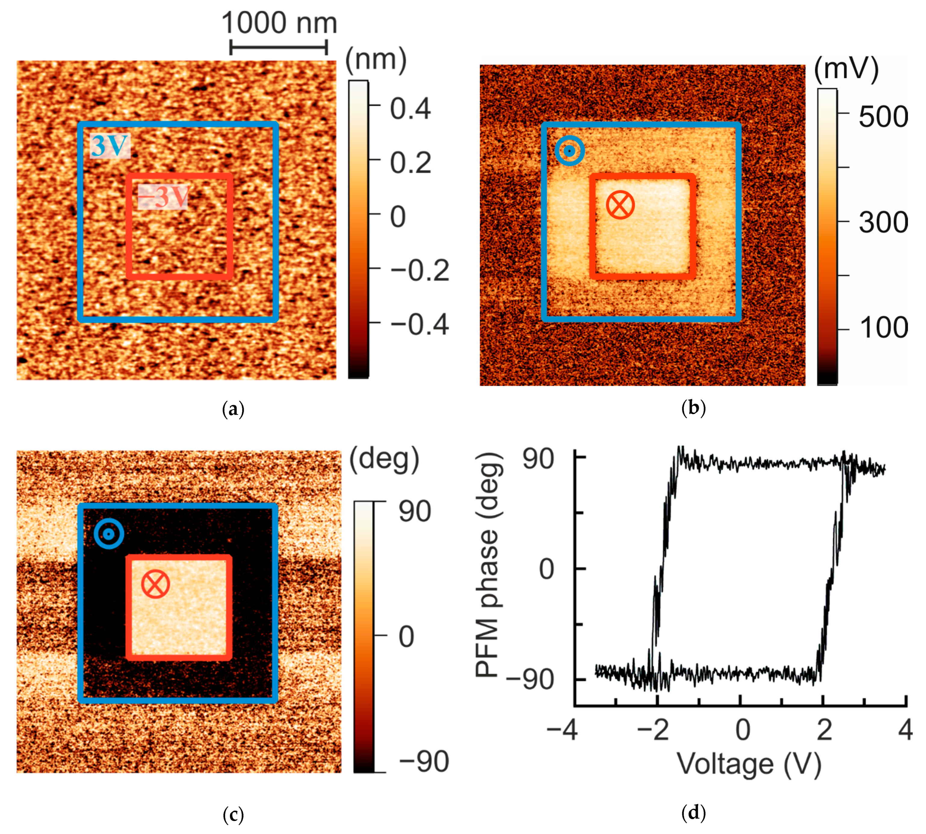 Nanomaterials 11 03323 g001