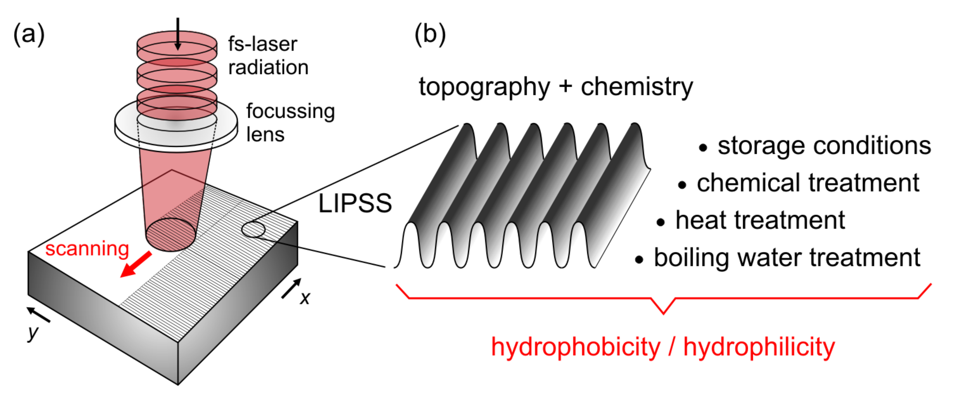 Nanomaterials 11 03326 g006 Nanomaterials 11 03326 g006