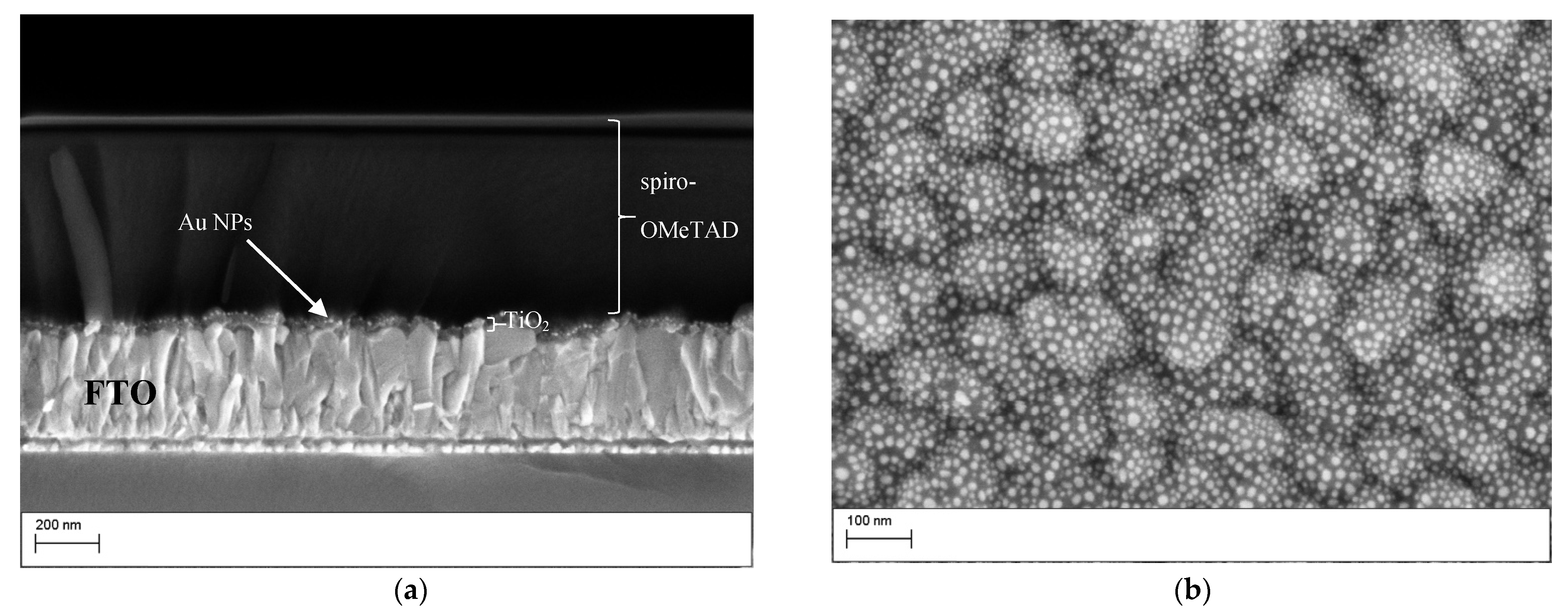 Nanomaterials 11 03329 g002