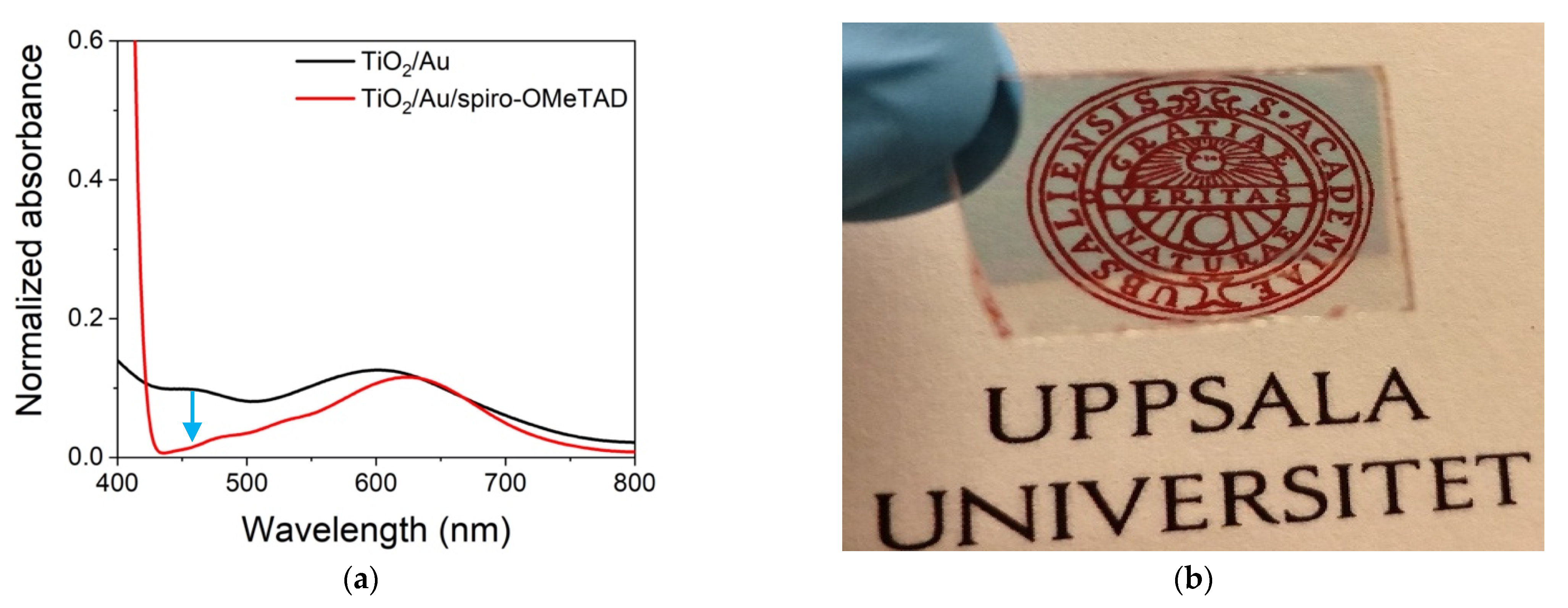 Nanomaterials 11 03329 g003