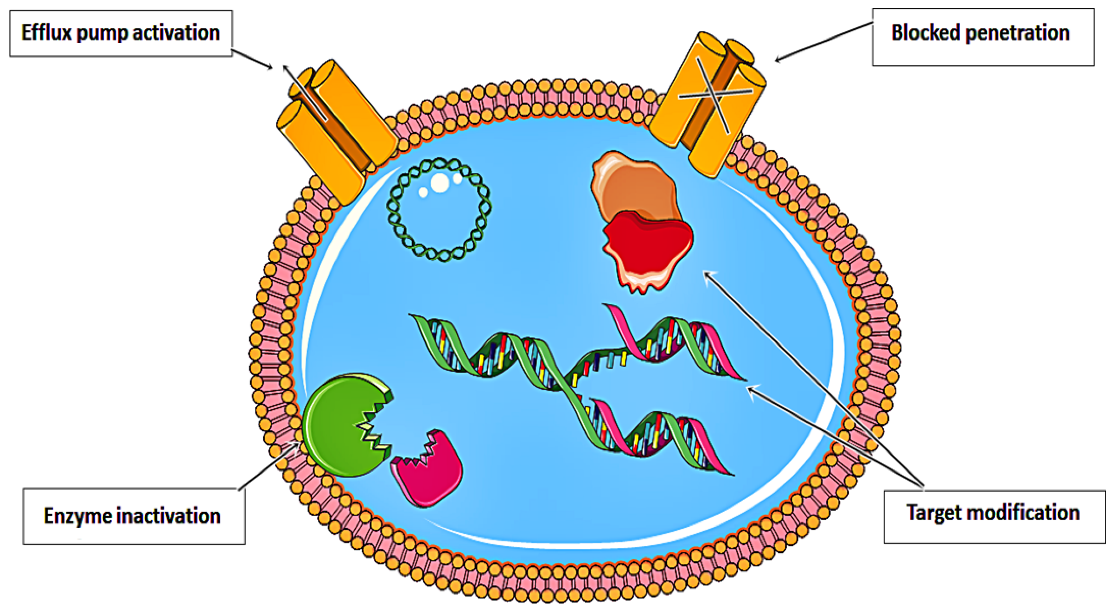 Nanomaterials 11 03330 g001