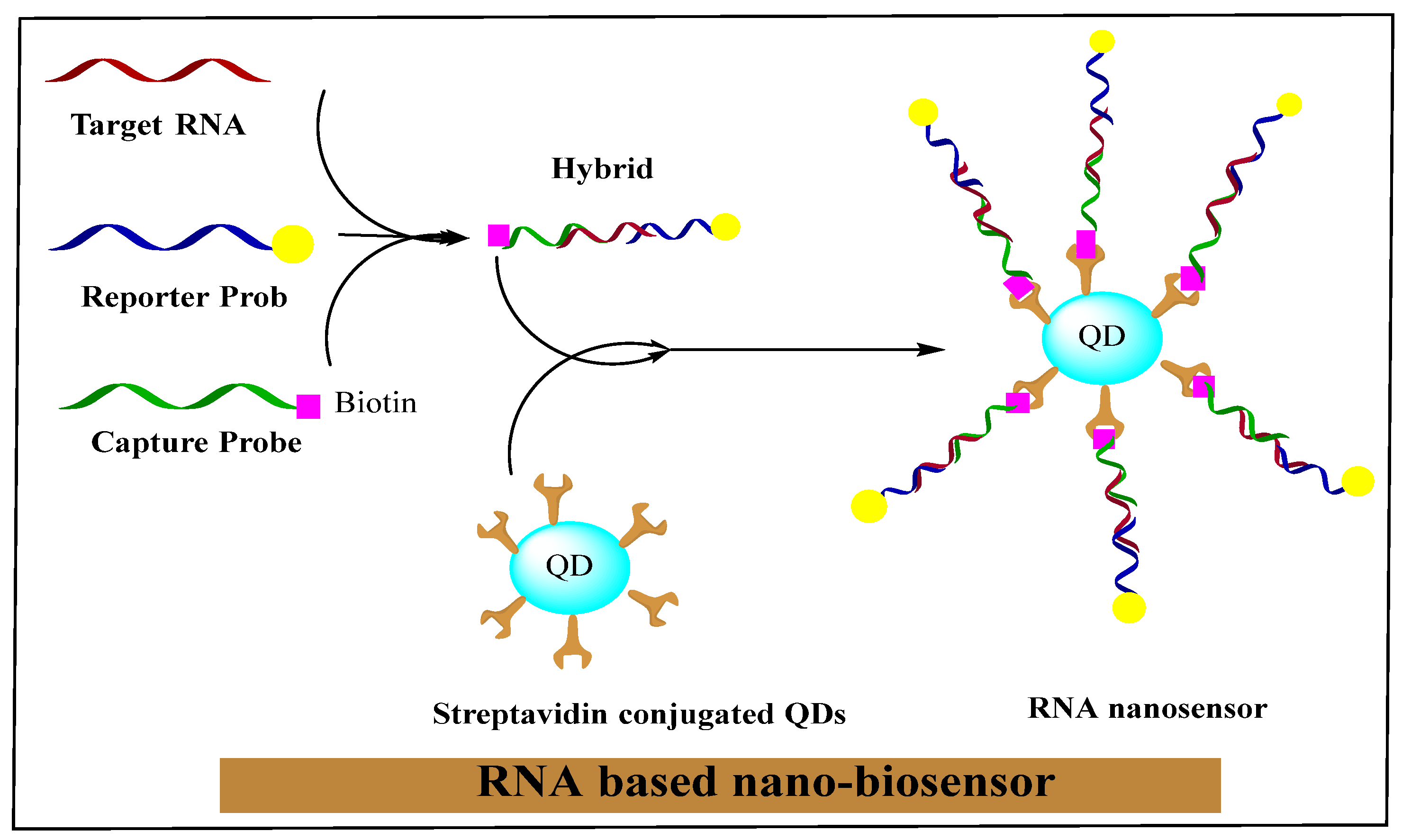 Nanomaterials 11 03330 g002