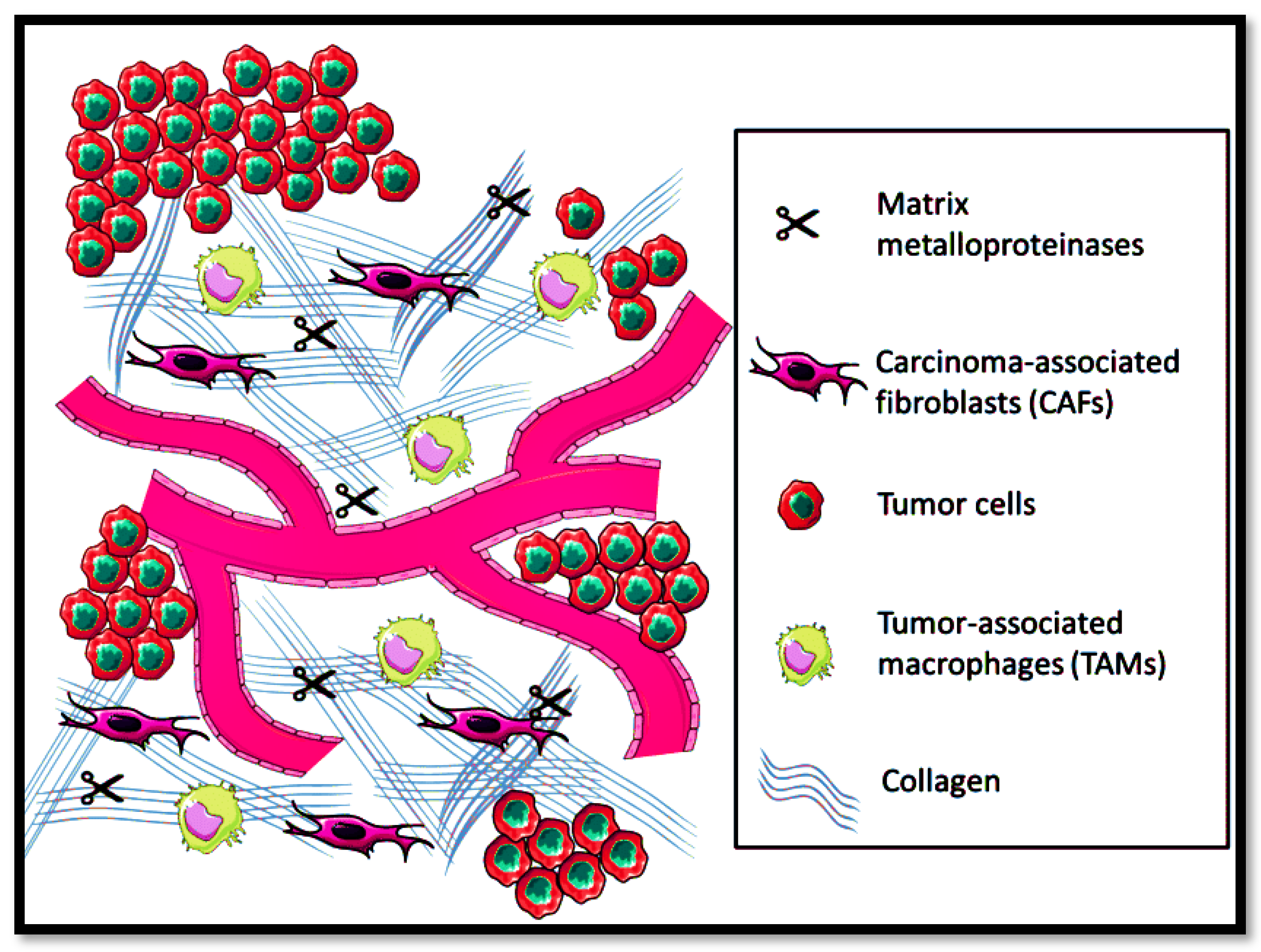 Nanomaterials 11 03330 g003