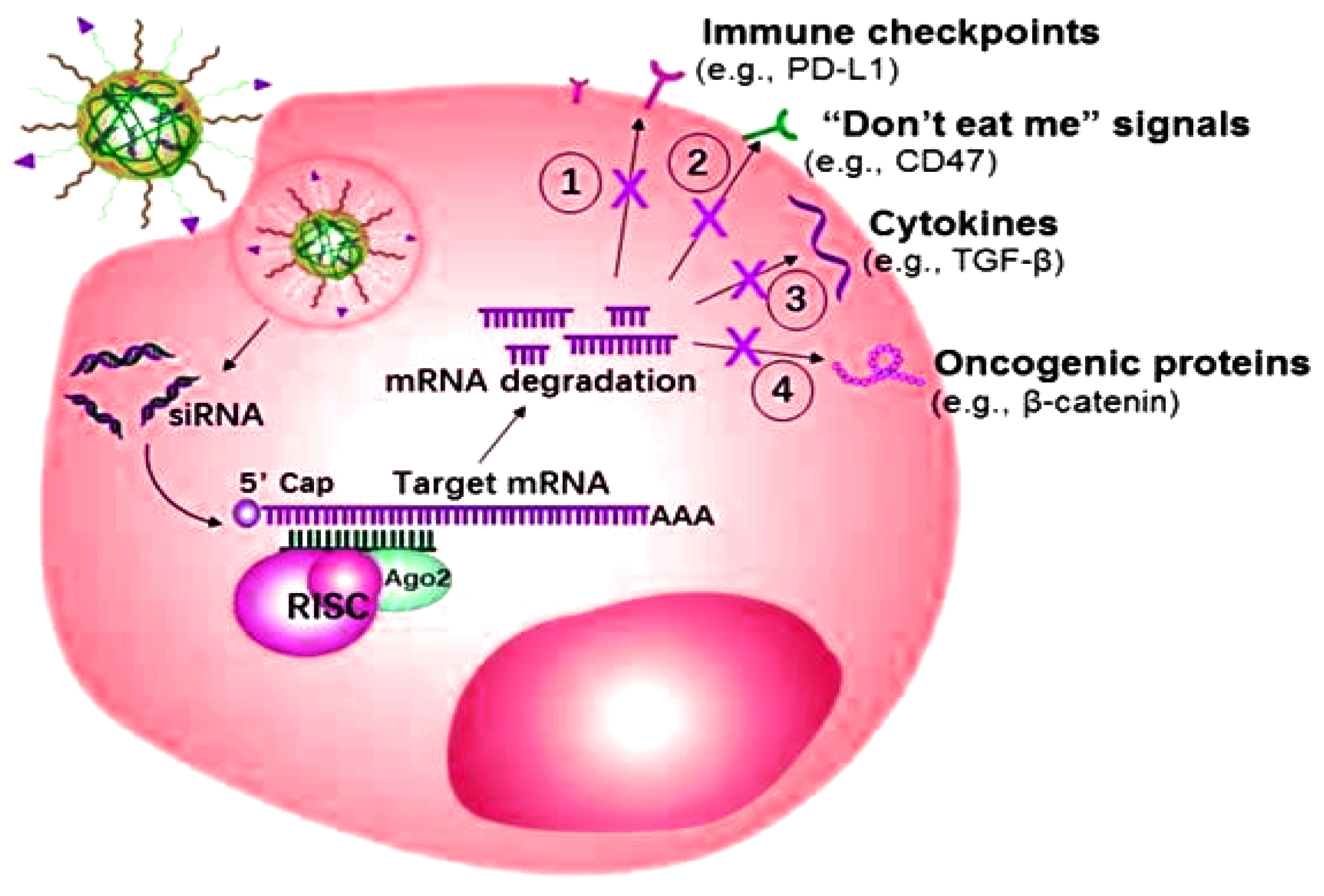 Nanomaterials 11 03330 g005