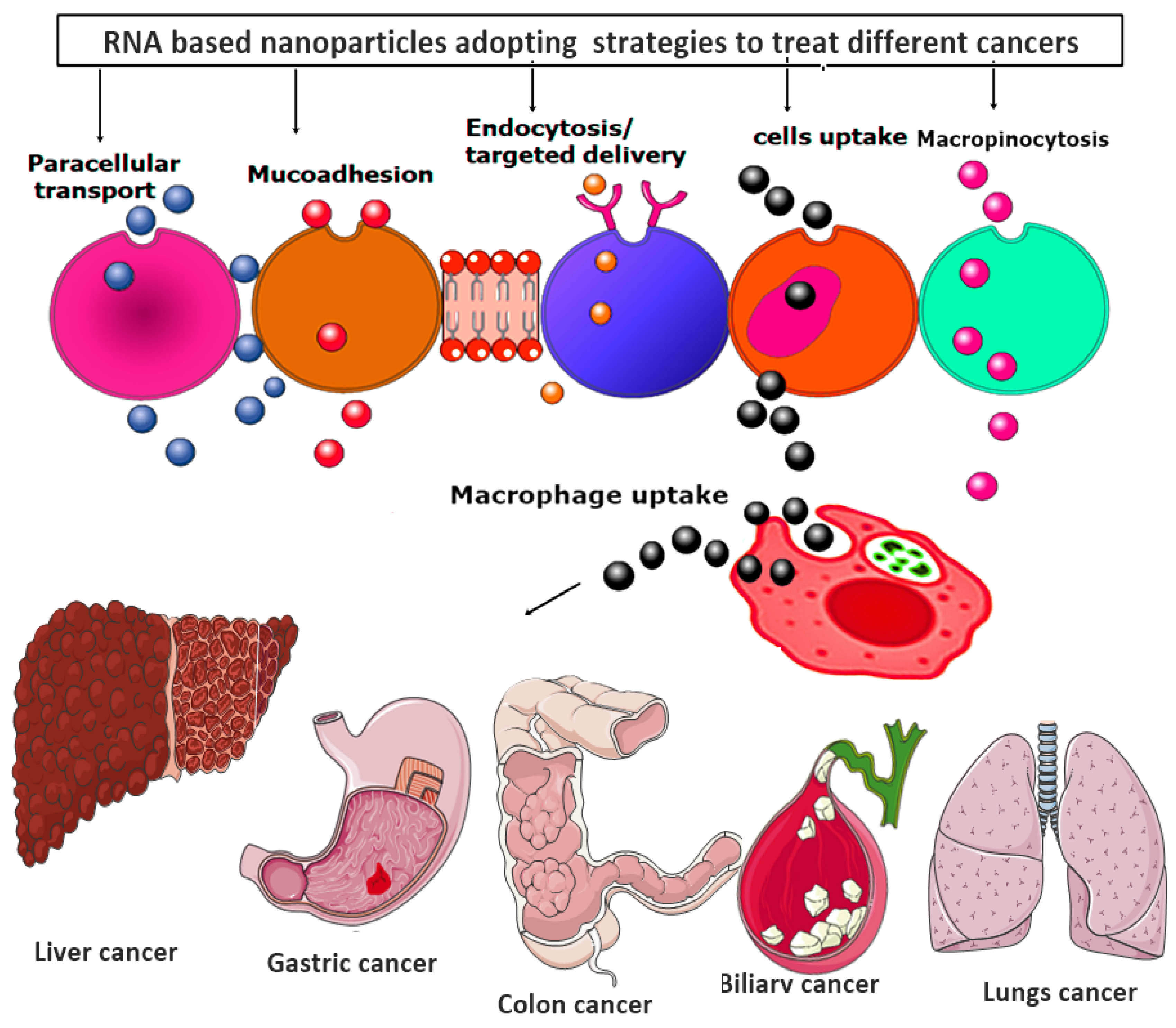 Nanomaterials 11 03330 g006
