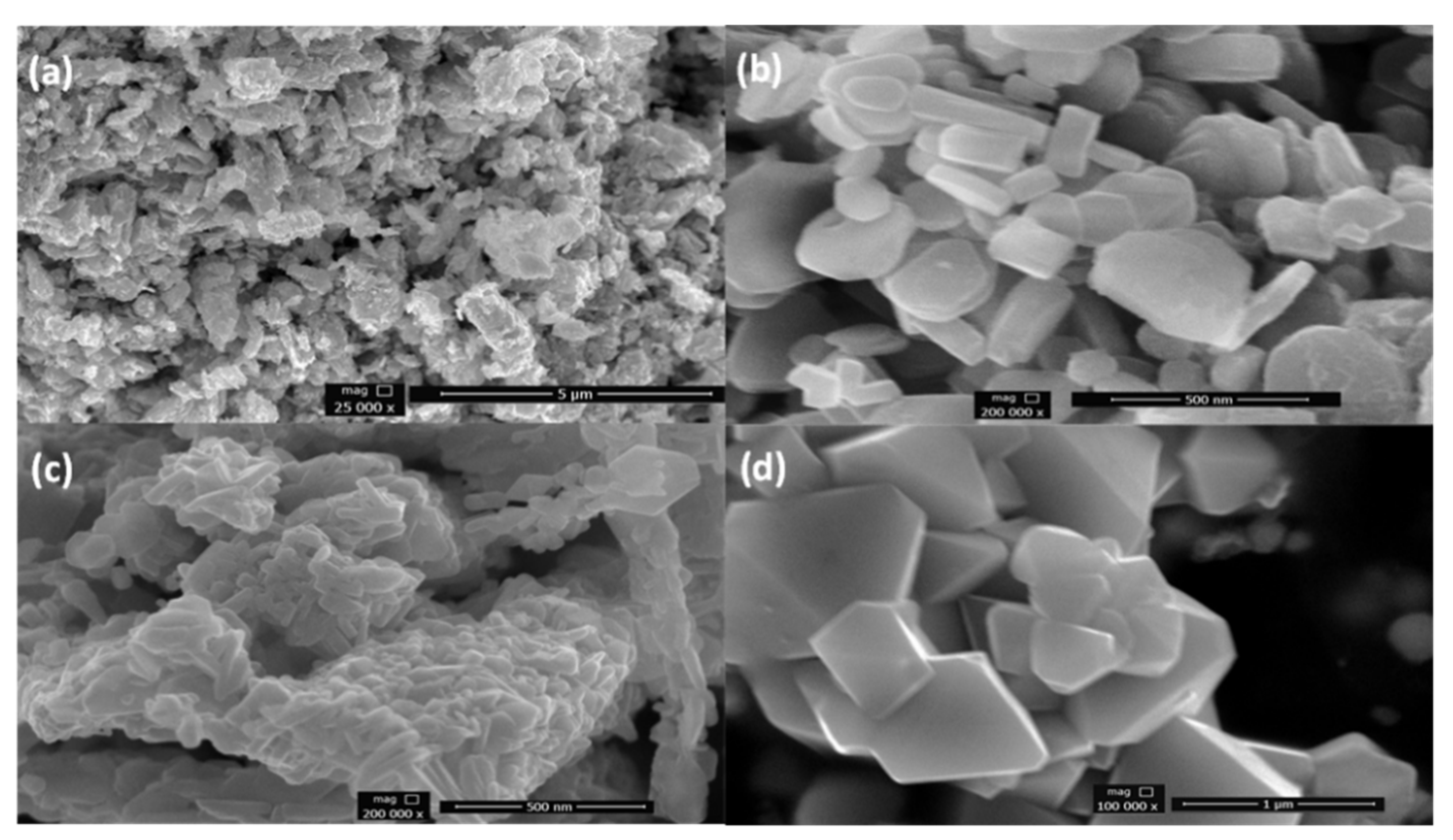 Nanomaterials 11 03343 g004