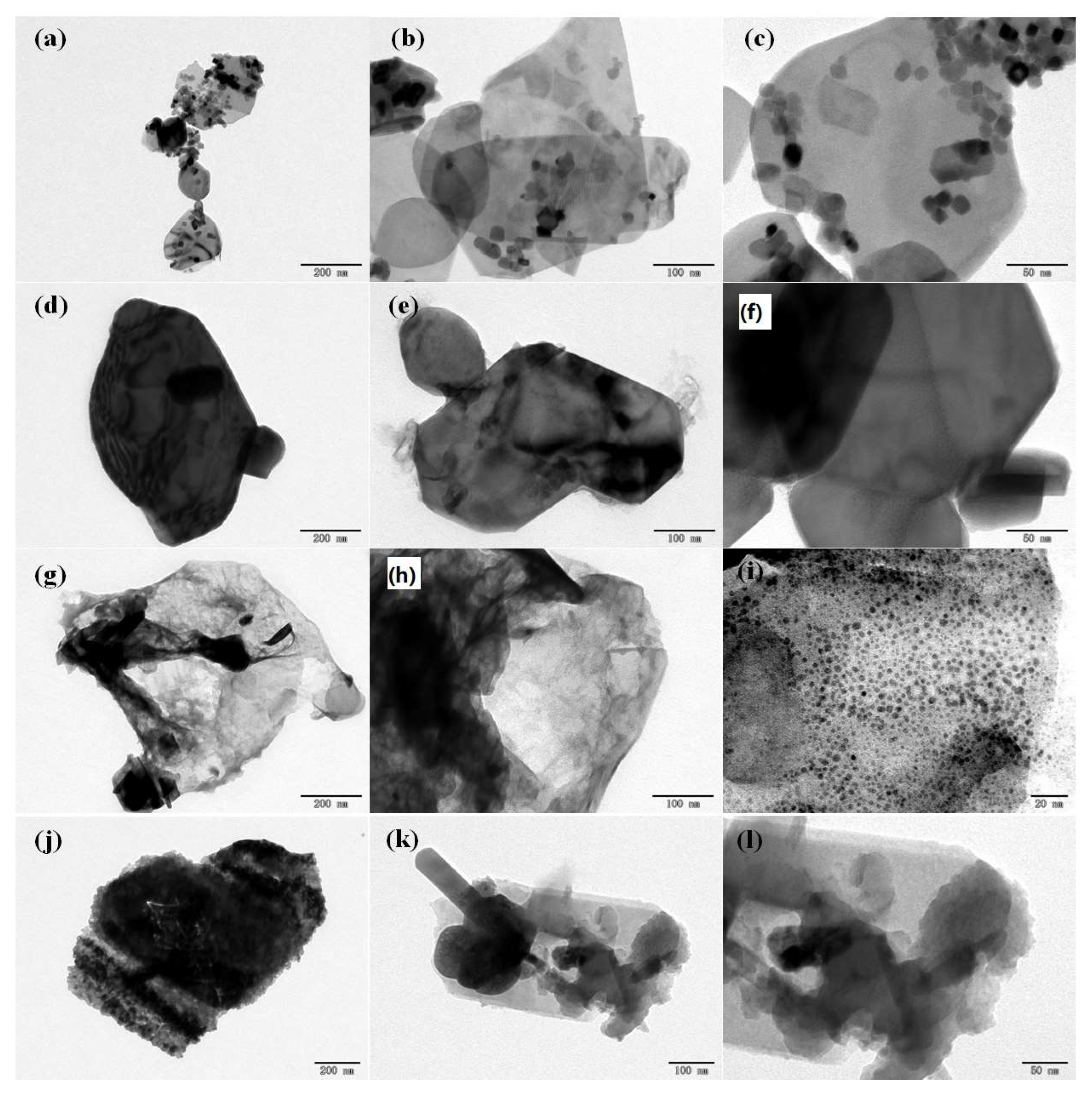 Nanomaterials 11 03343 g005