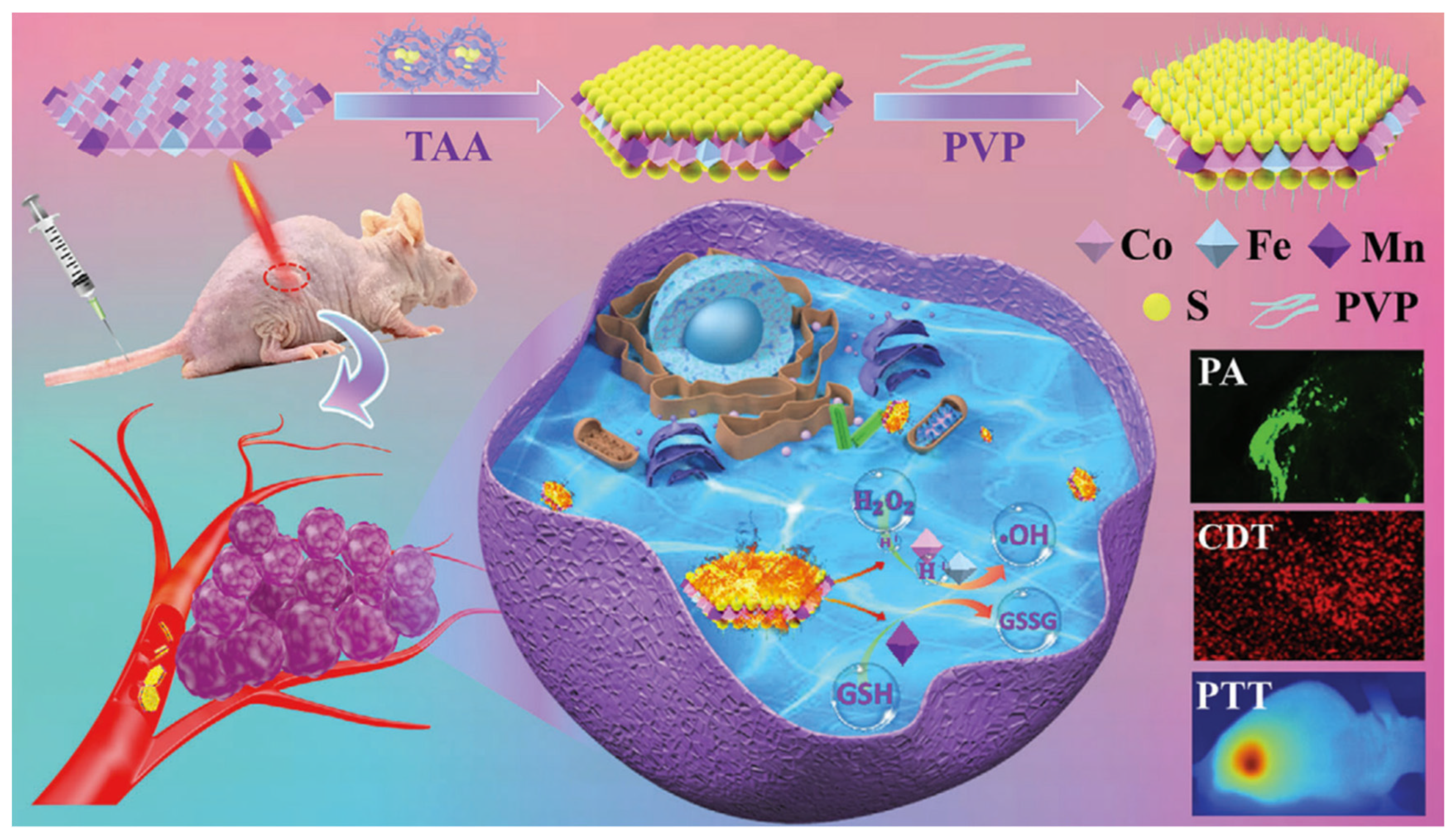 Nanomaterials 11 03346 g001