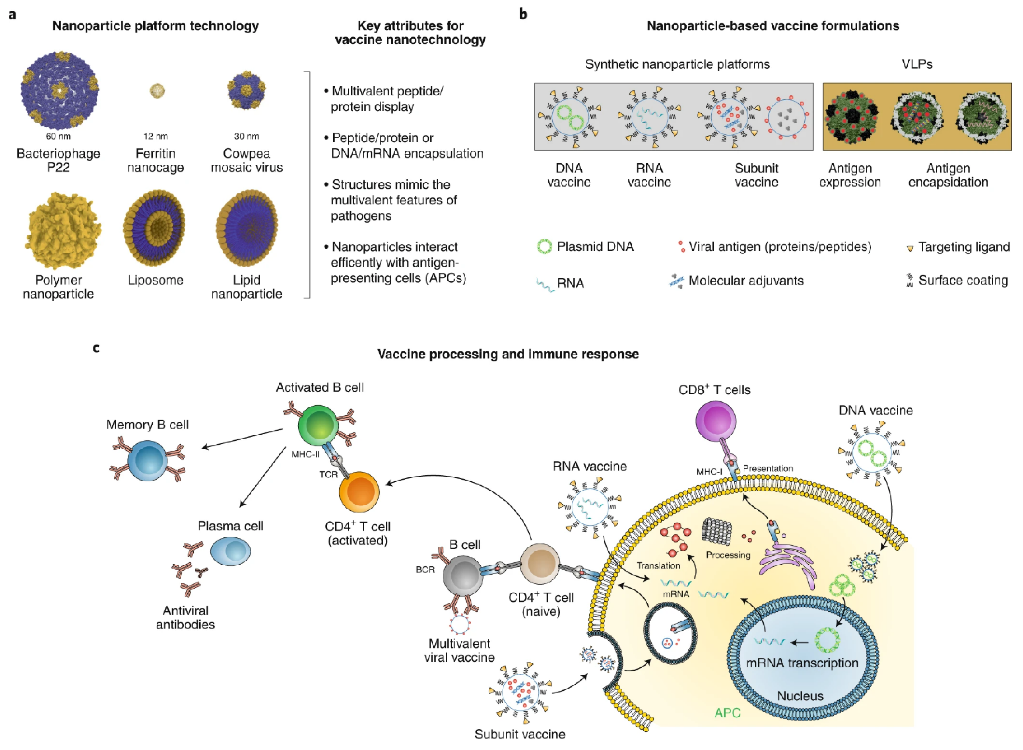 Nanomaterials 11 03346 g004