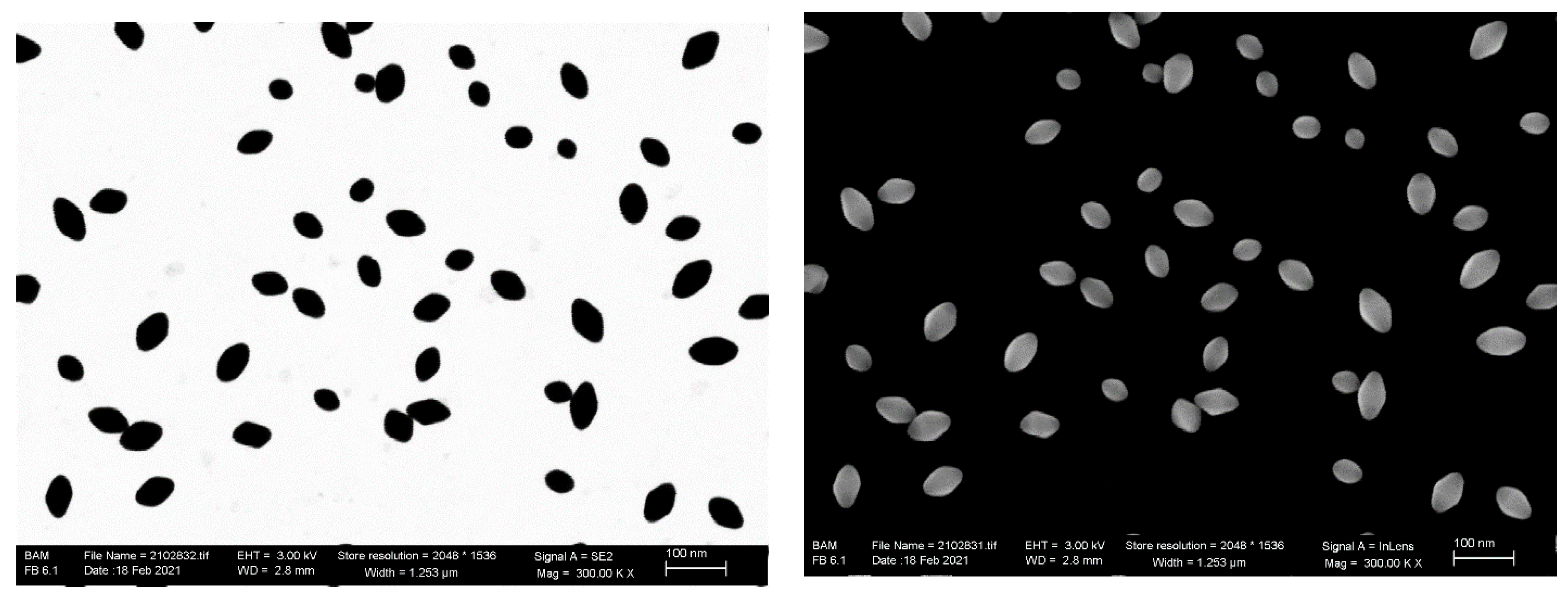 Nanomaterials 11 03359 g011