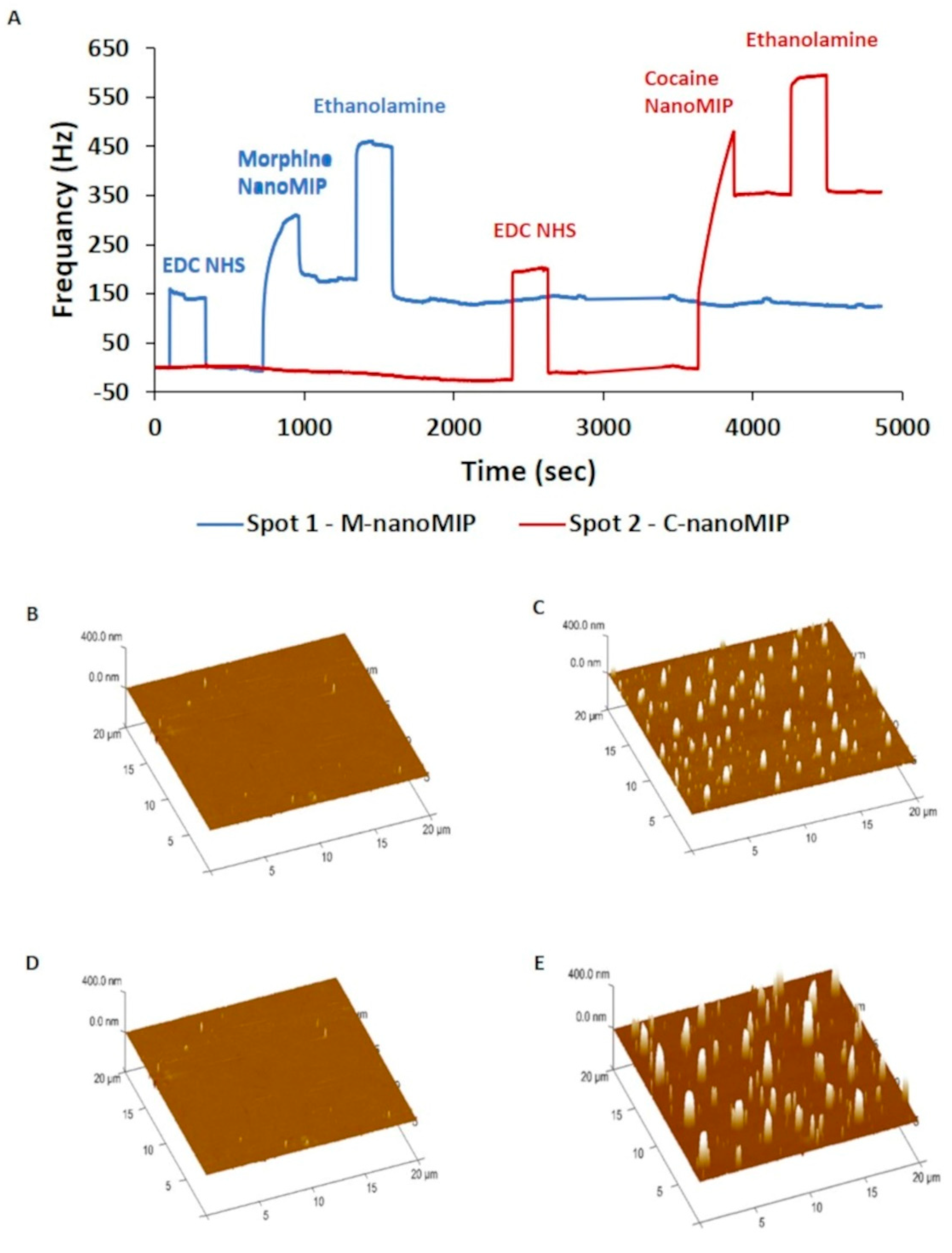 Nanomaterials 11 03360 g005 Nanomaterials 11 03360 g005