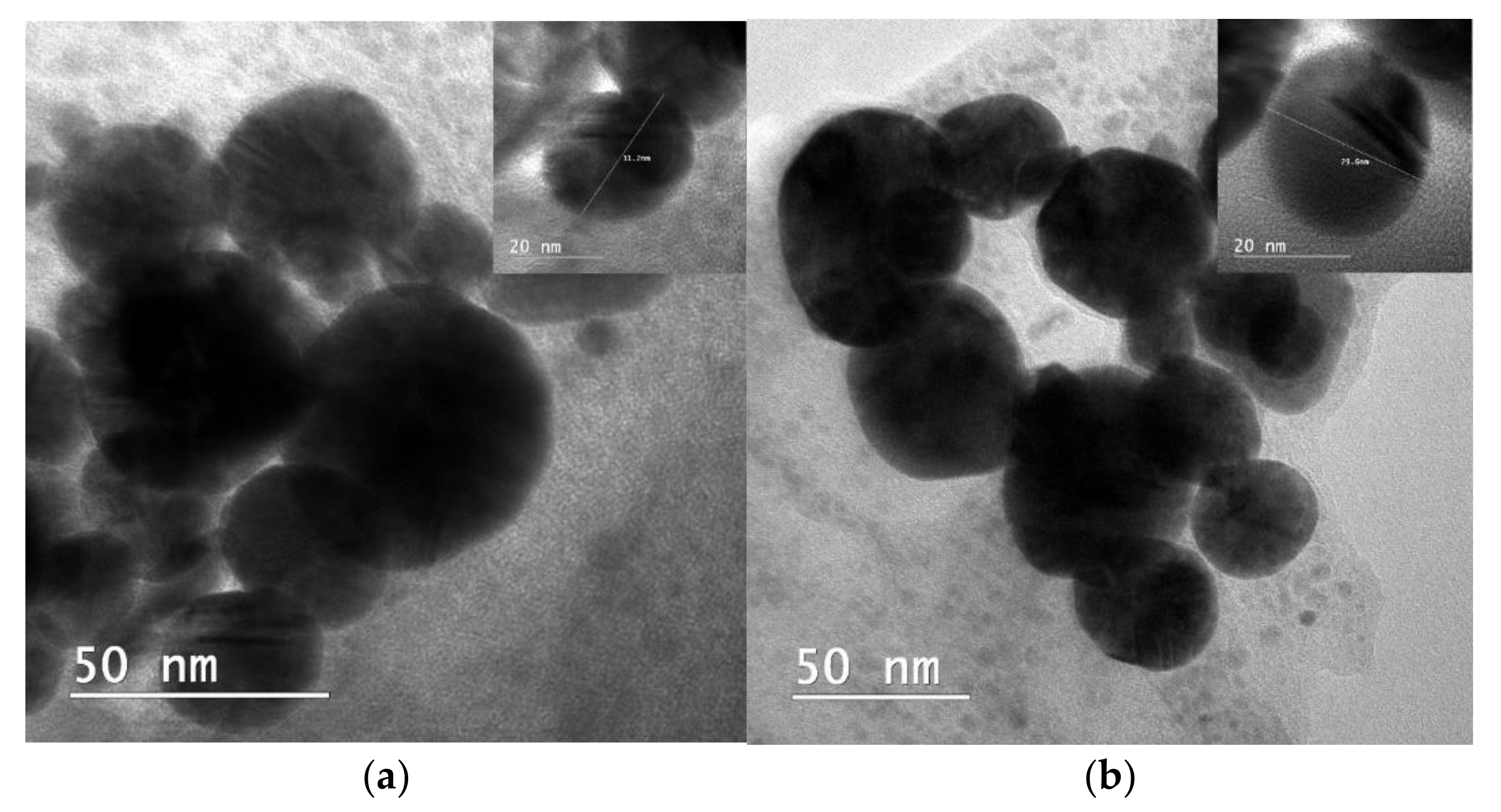 Nanomaterials 11 03388 g007