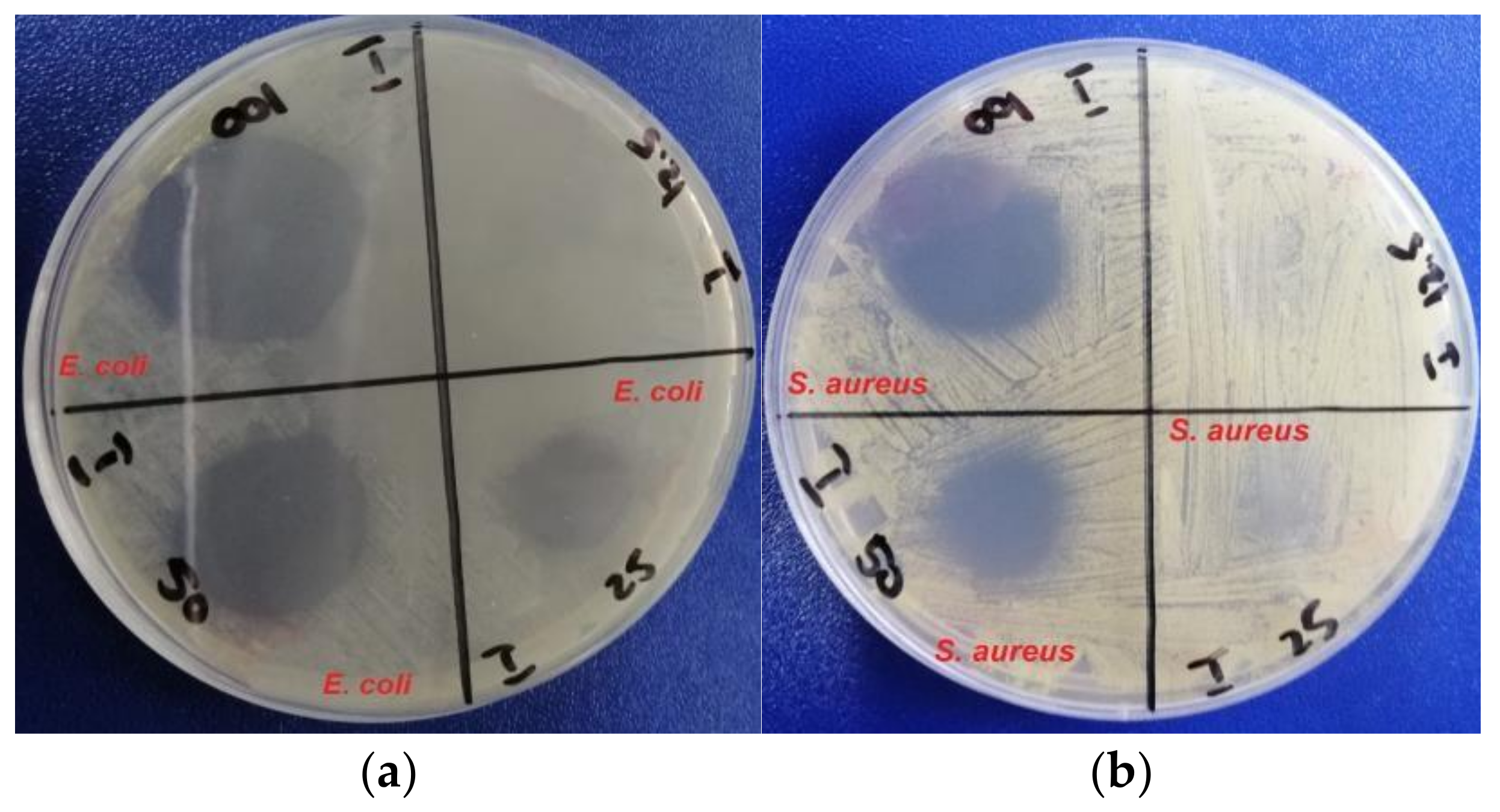 Nanomaterials 11 03388 g010